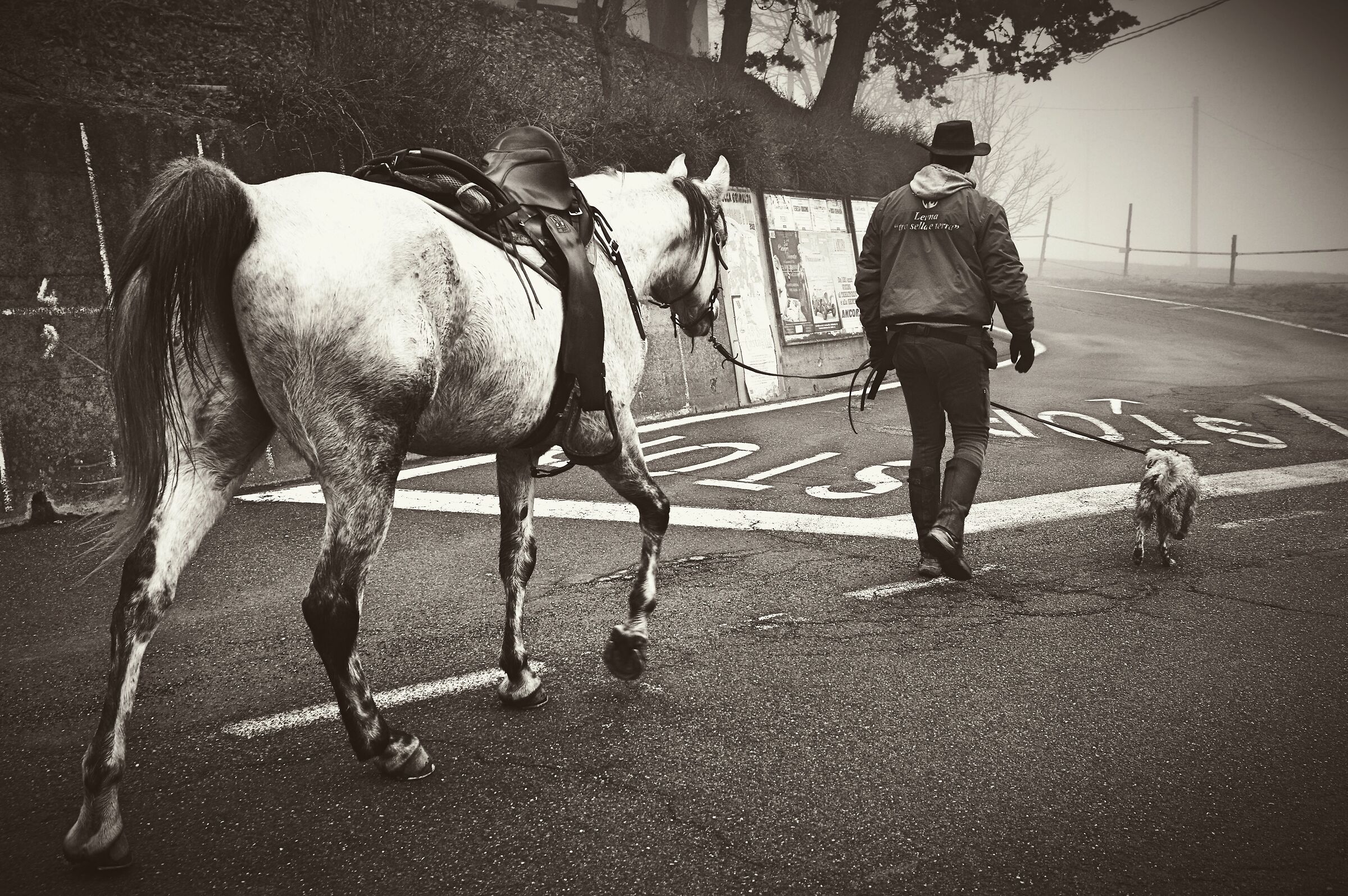 We are almost at home my friends