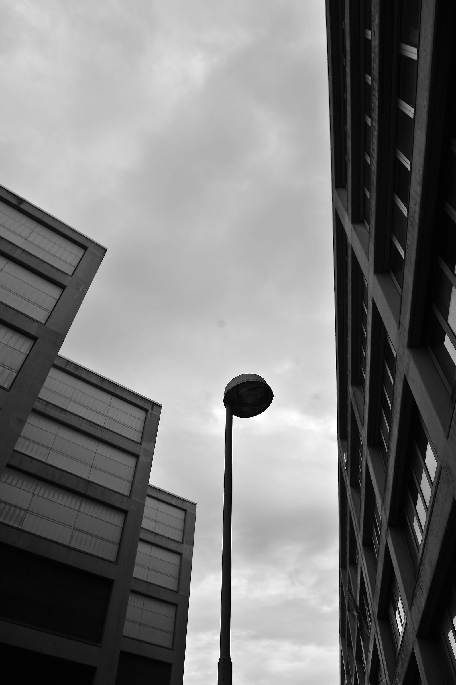 Perspectives