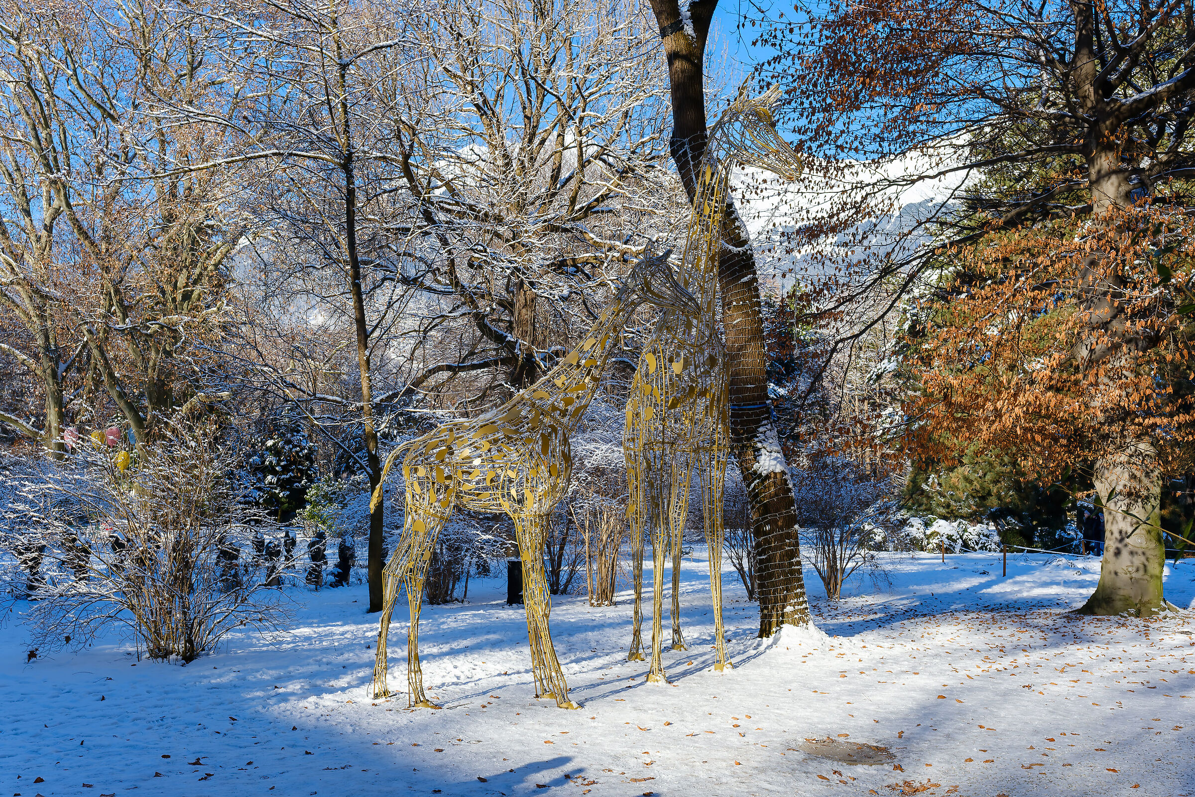 Innsbruck - The Enchanted Park