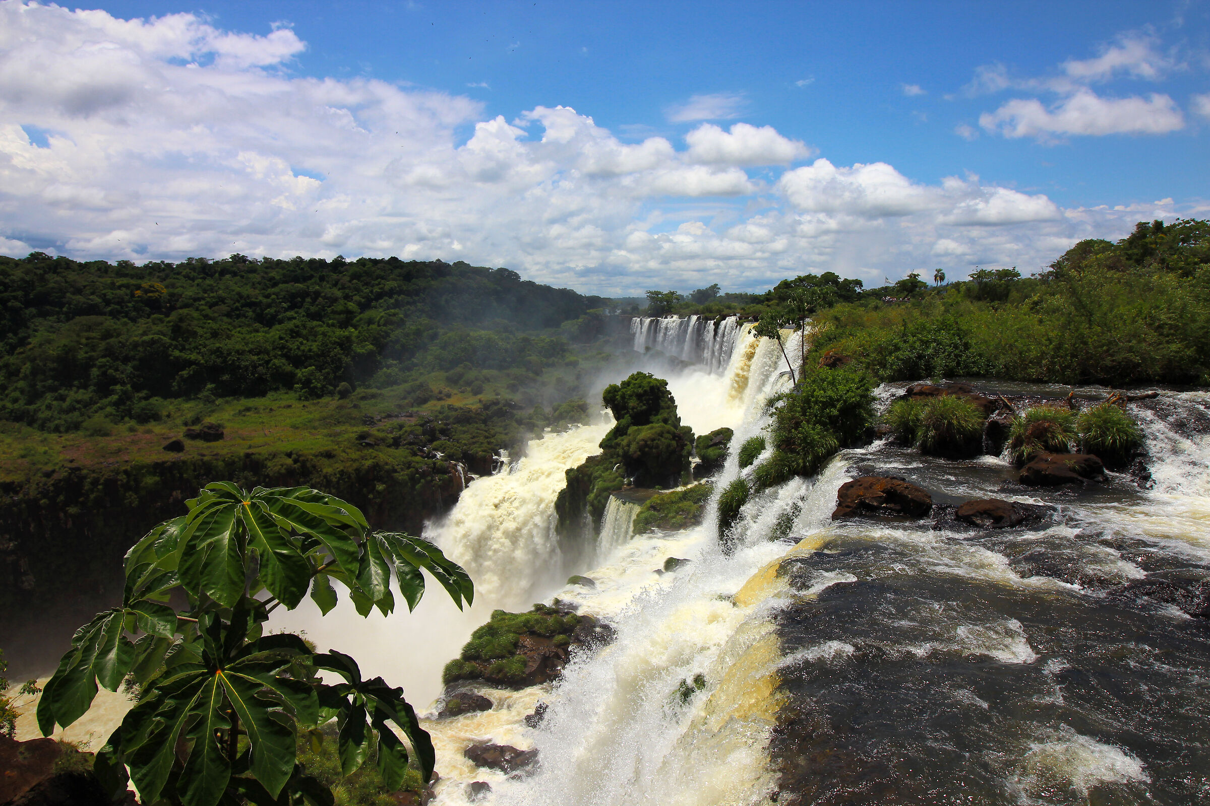 Lush_Iguazu