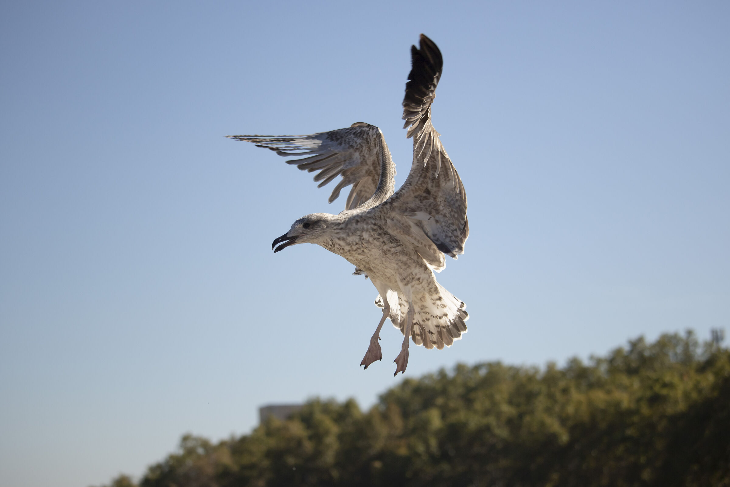 4 flight phases: Braking (4 shots)