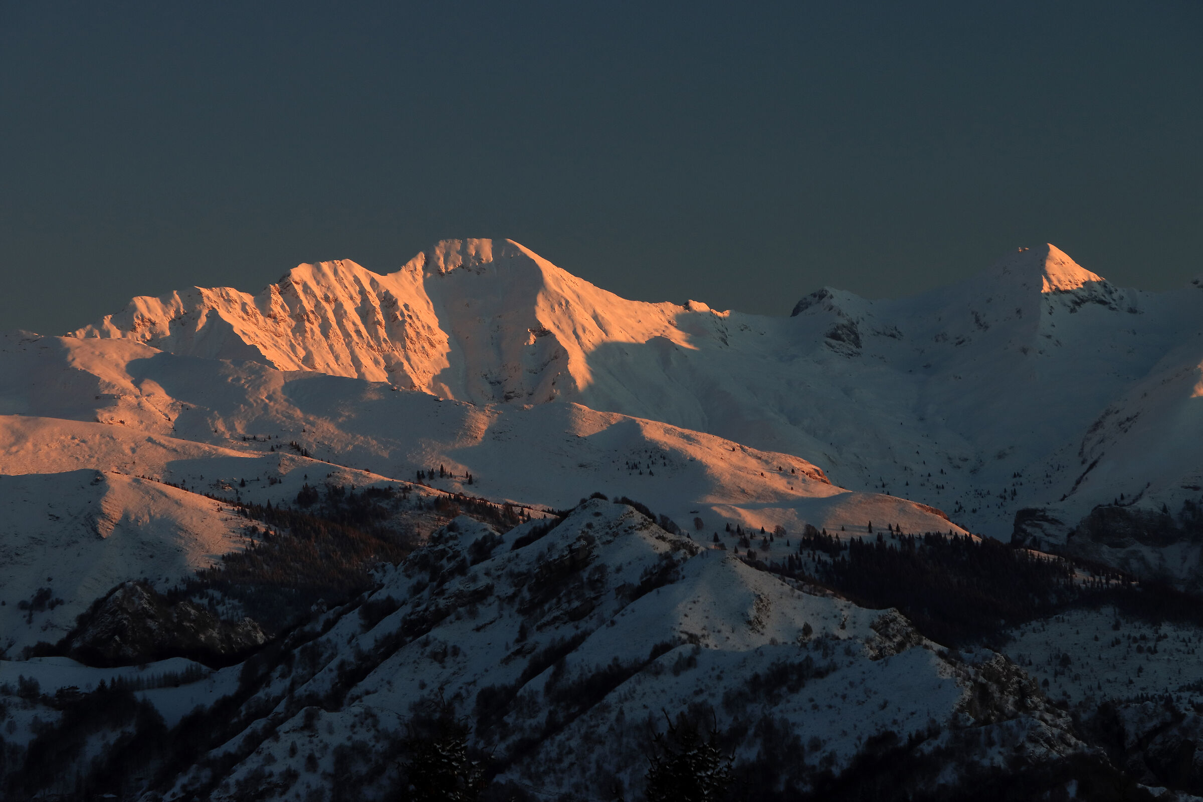 the light of the "Fop"