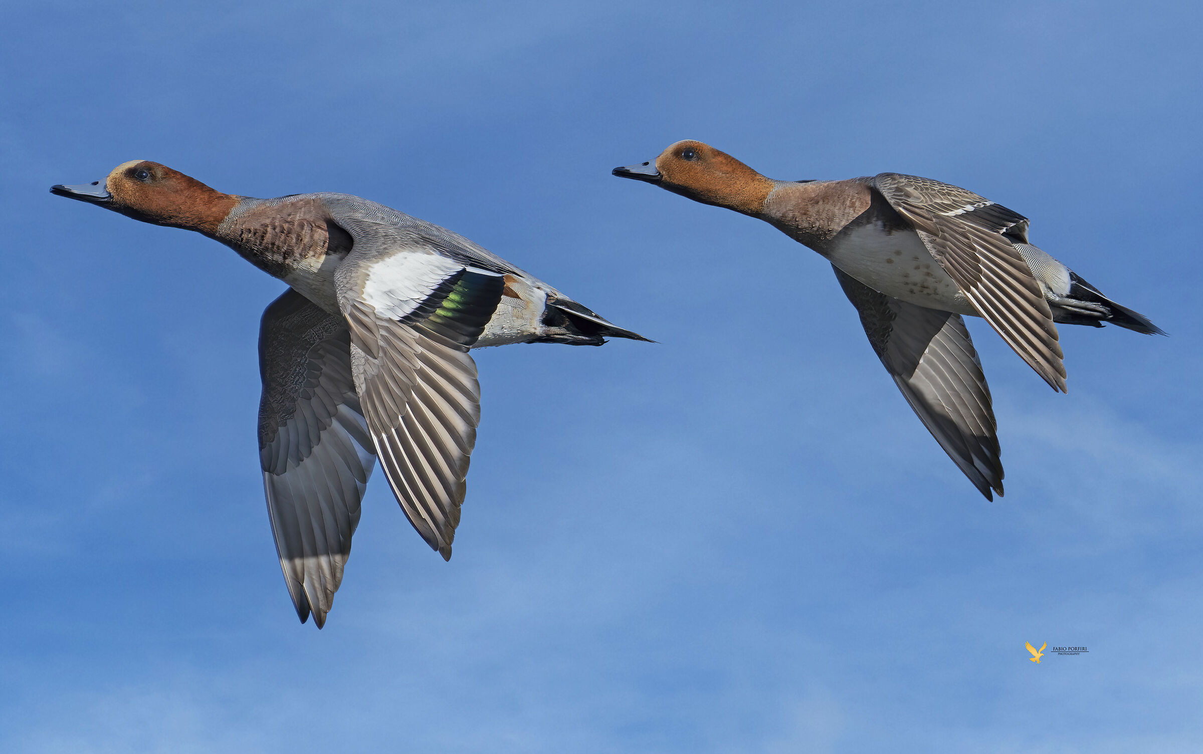 i due maschietti....