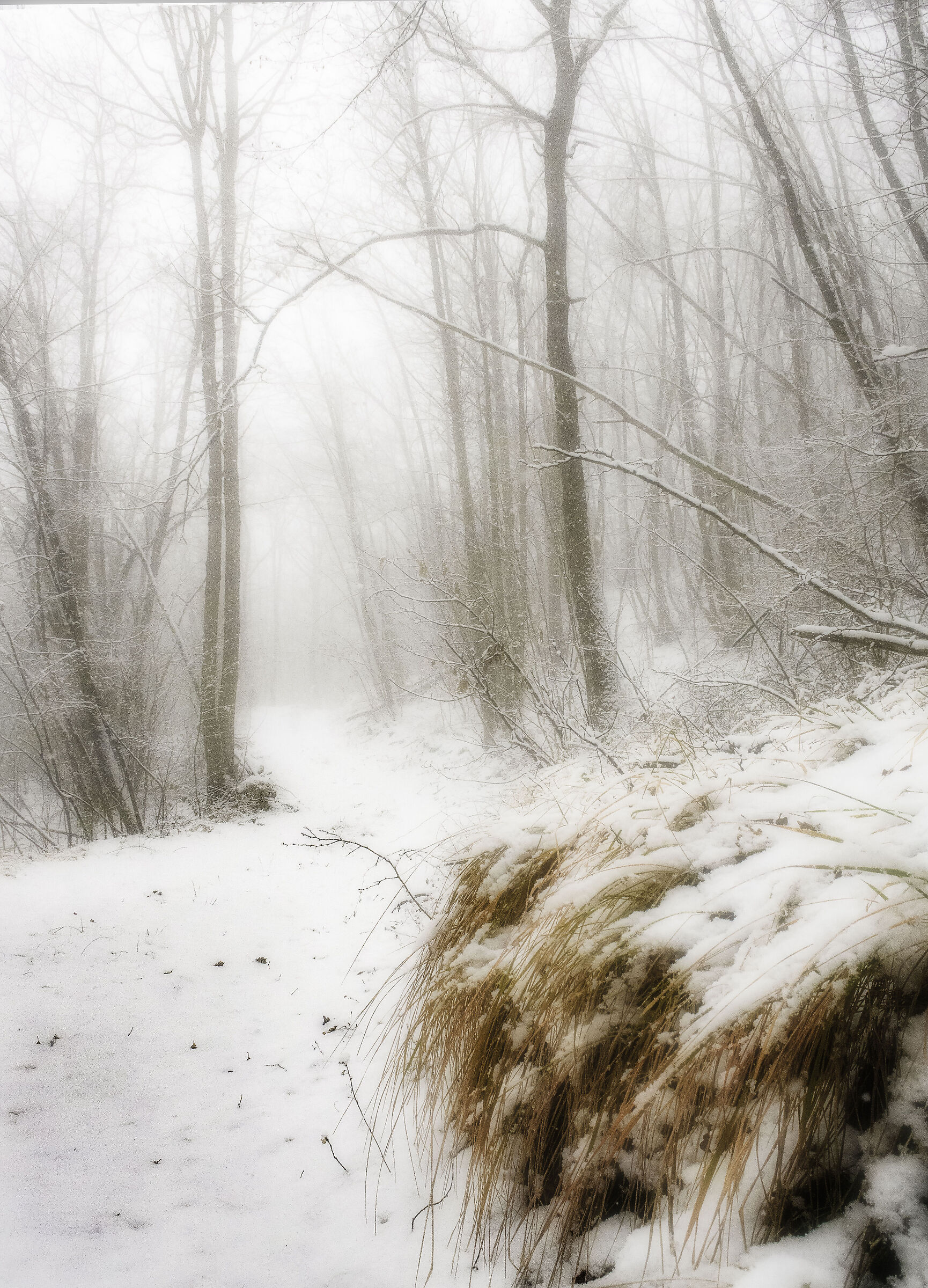 ... Steps in silence