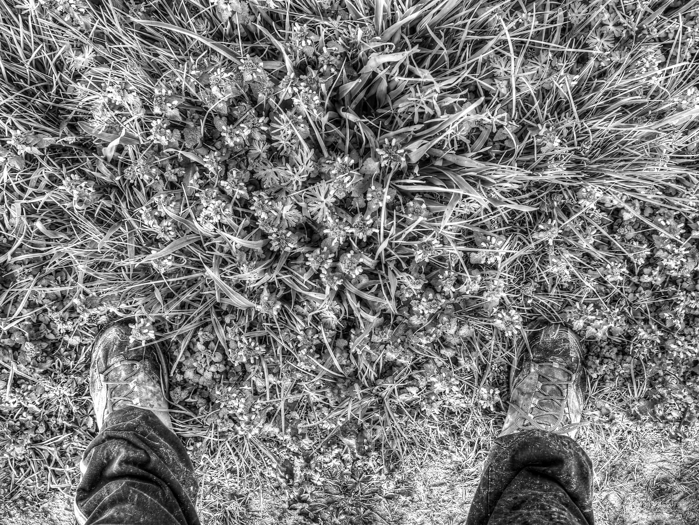 In giro per la campagna lodigiana