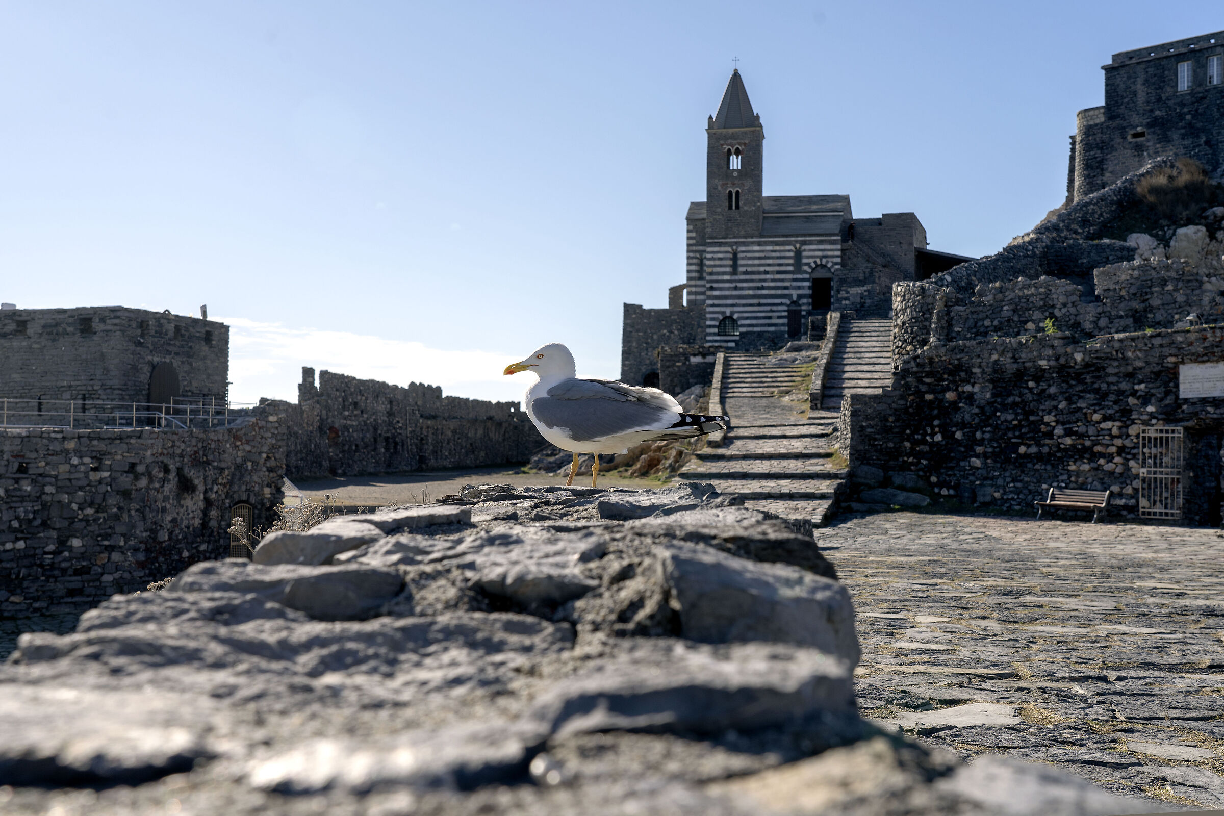 Il guardiano di San Pietro