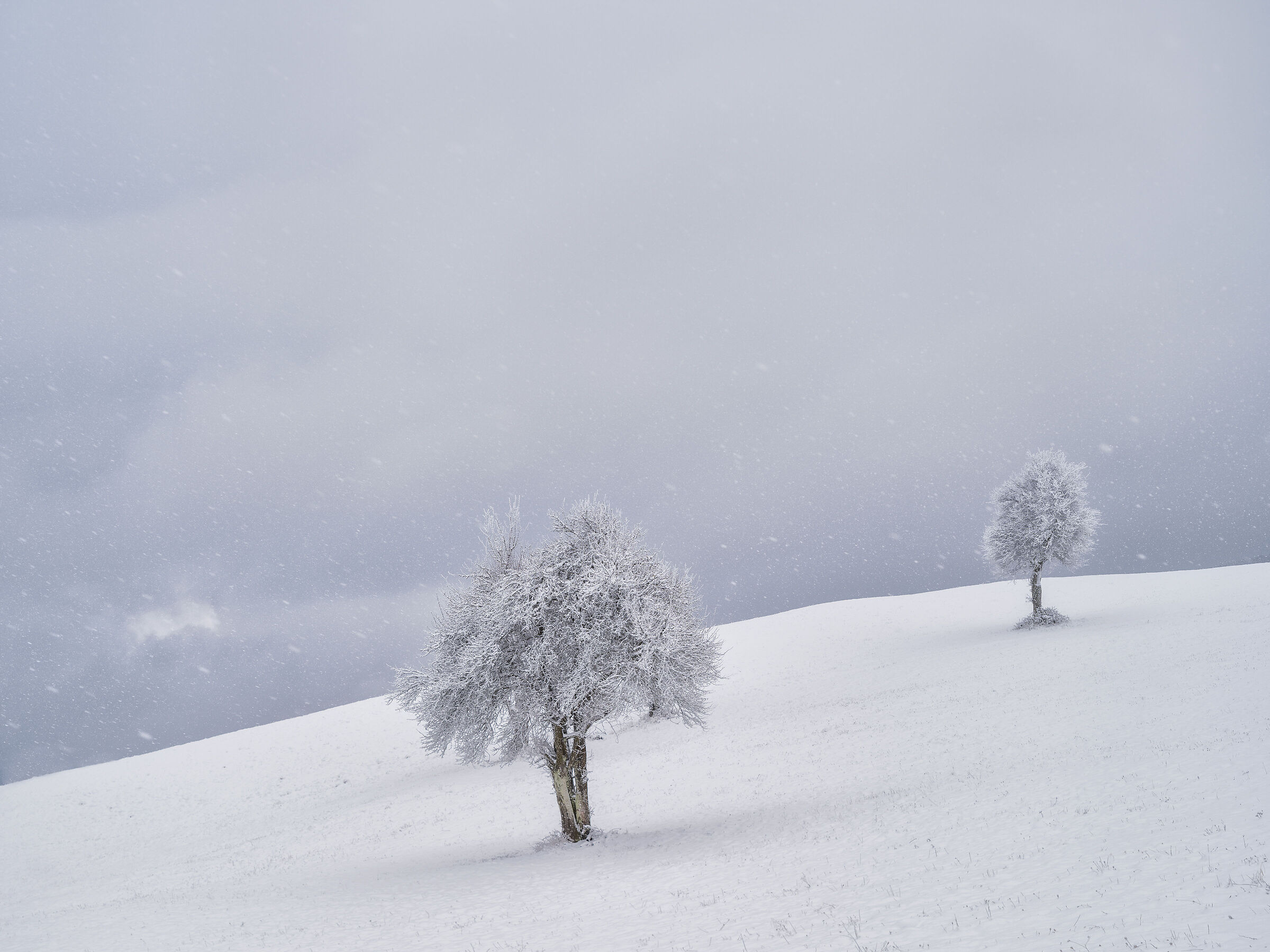 It thundered so much that it snowed