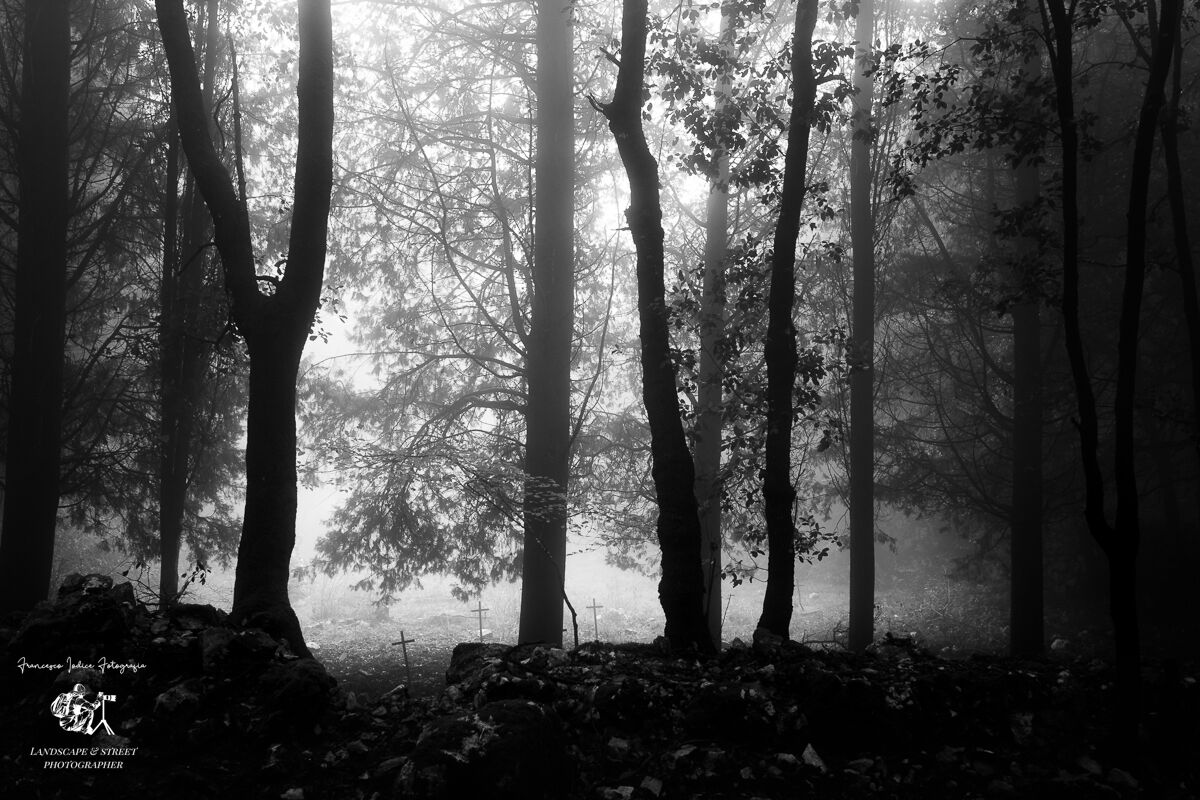 Piccolo cimitero di Guerra abbandonato Itri