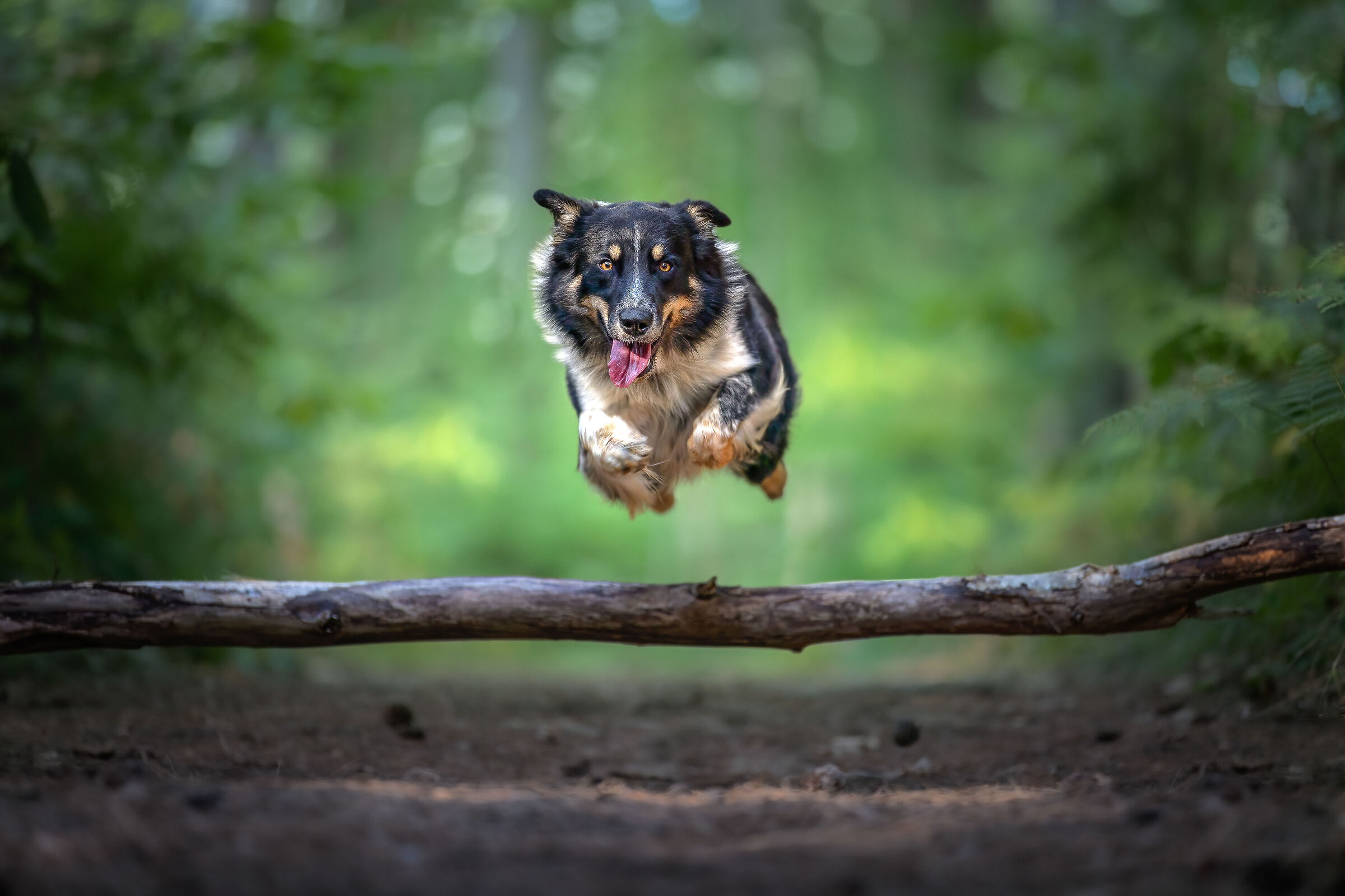 Flying Oscar