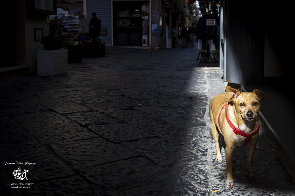 Via dell'Indipendenza Gaeta