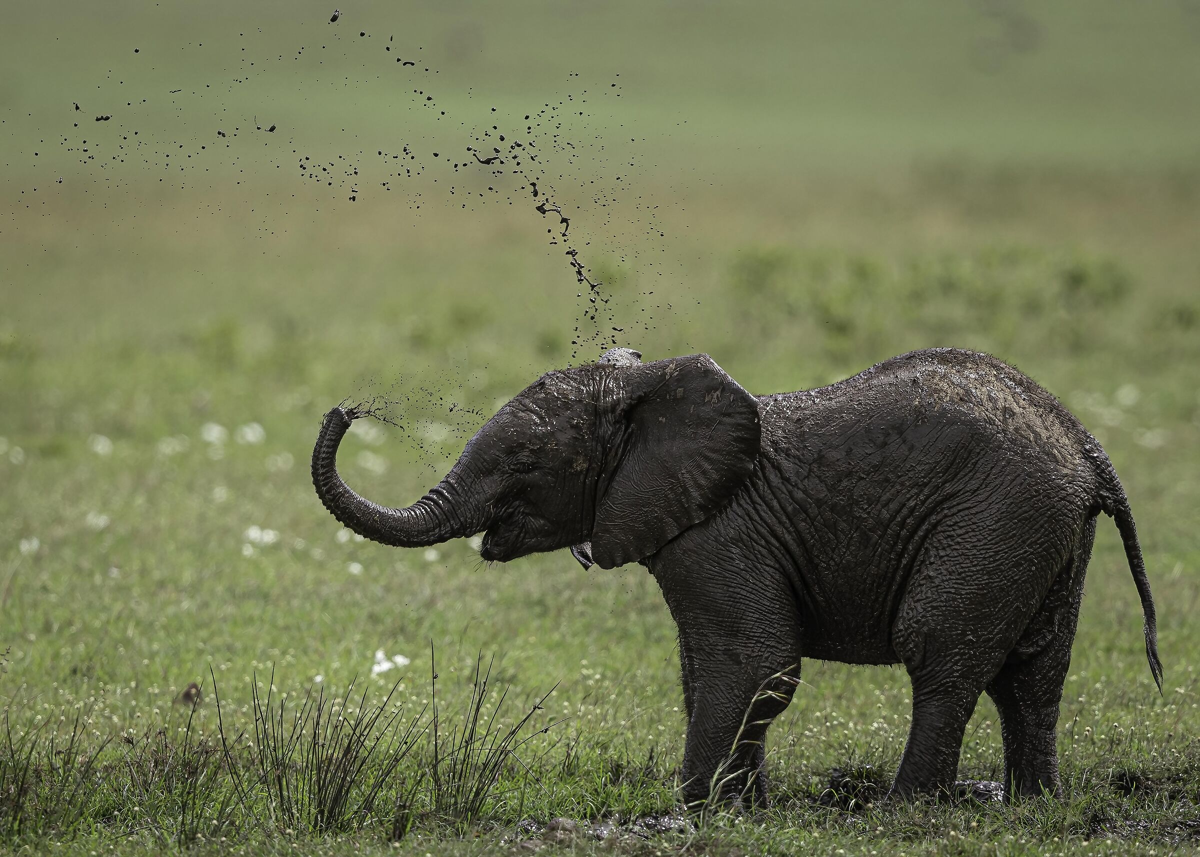 Finally you play .....