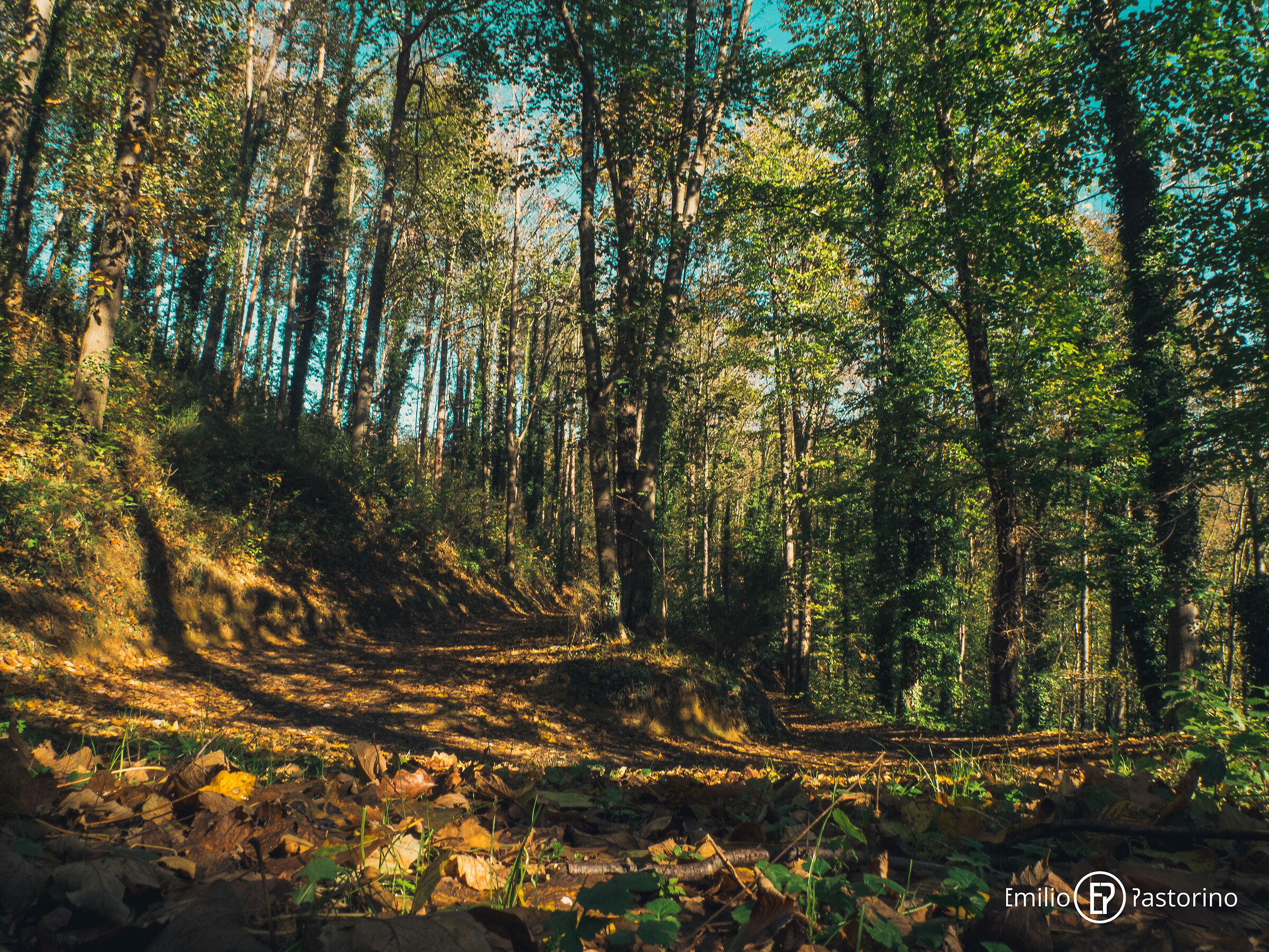 Paths