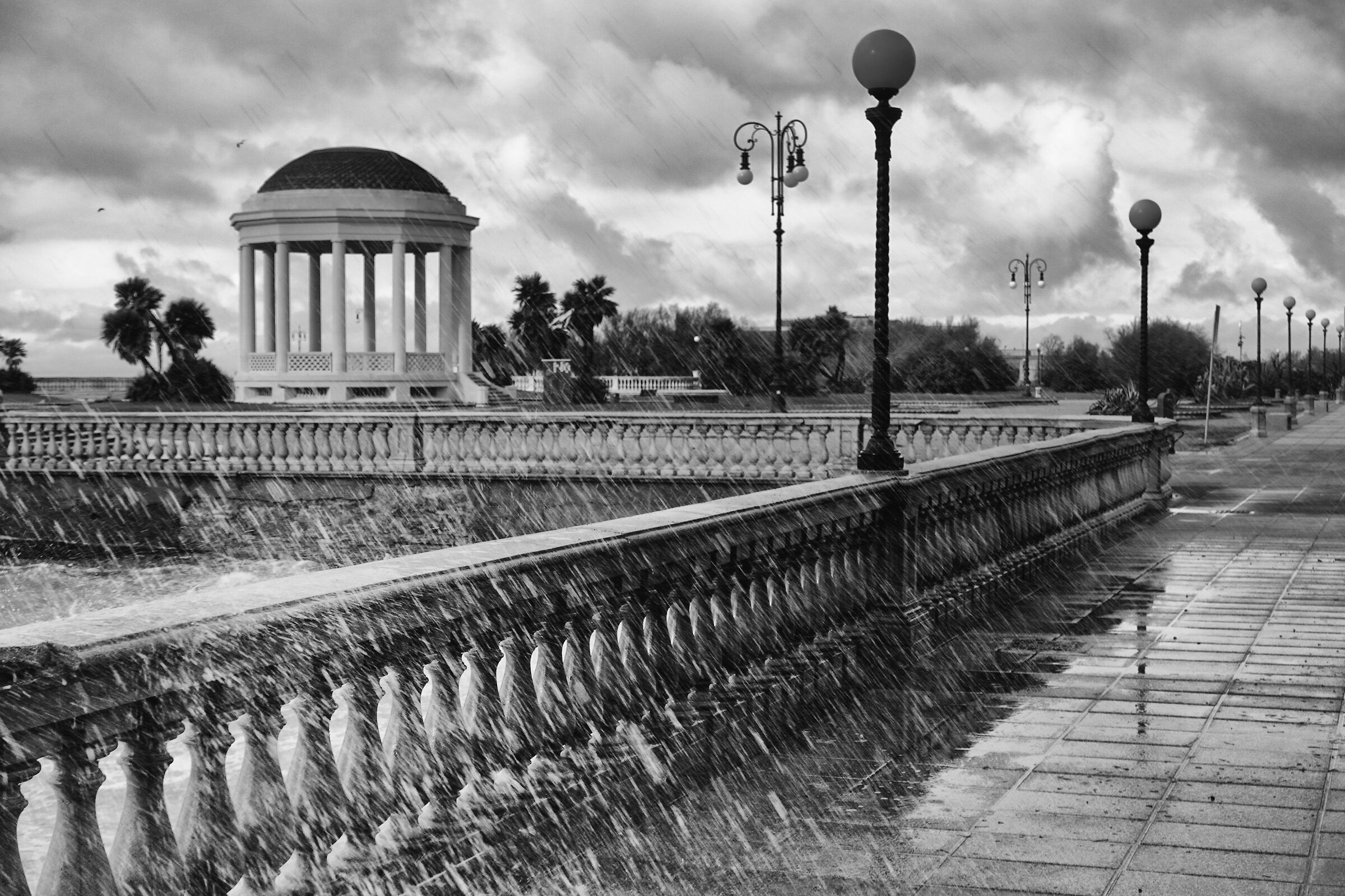 Livorno viale Italia (2)