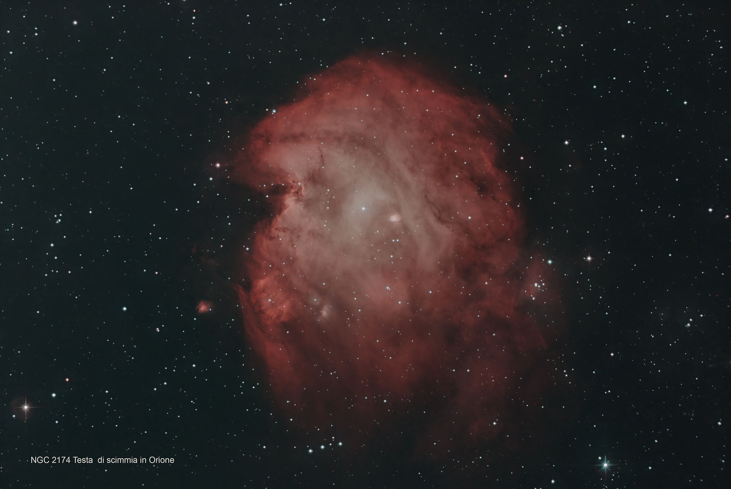 NGC 2174 Testa di scimmia in Orione