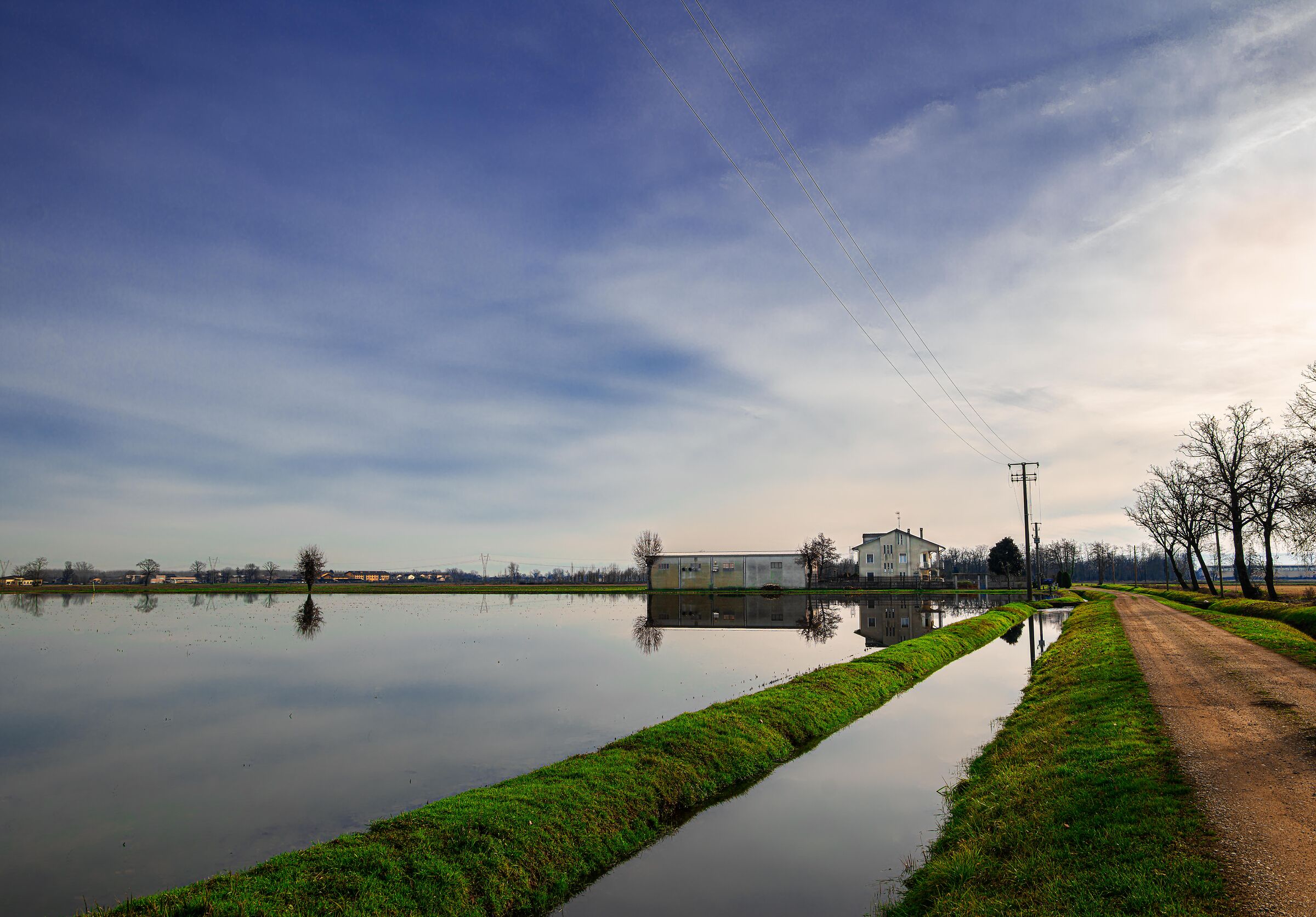 a specchio nella risaia