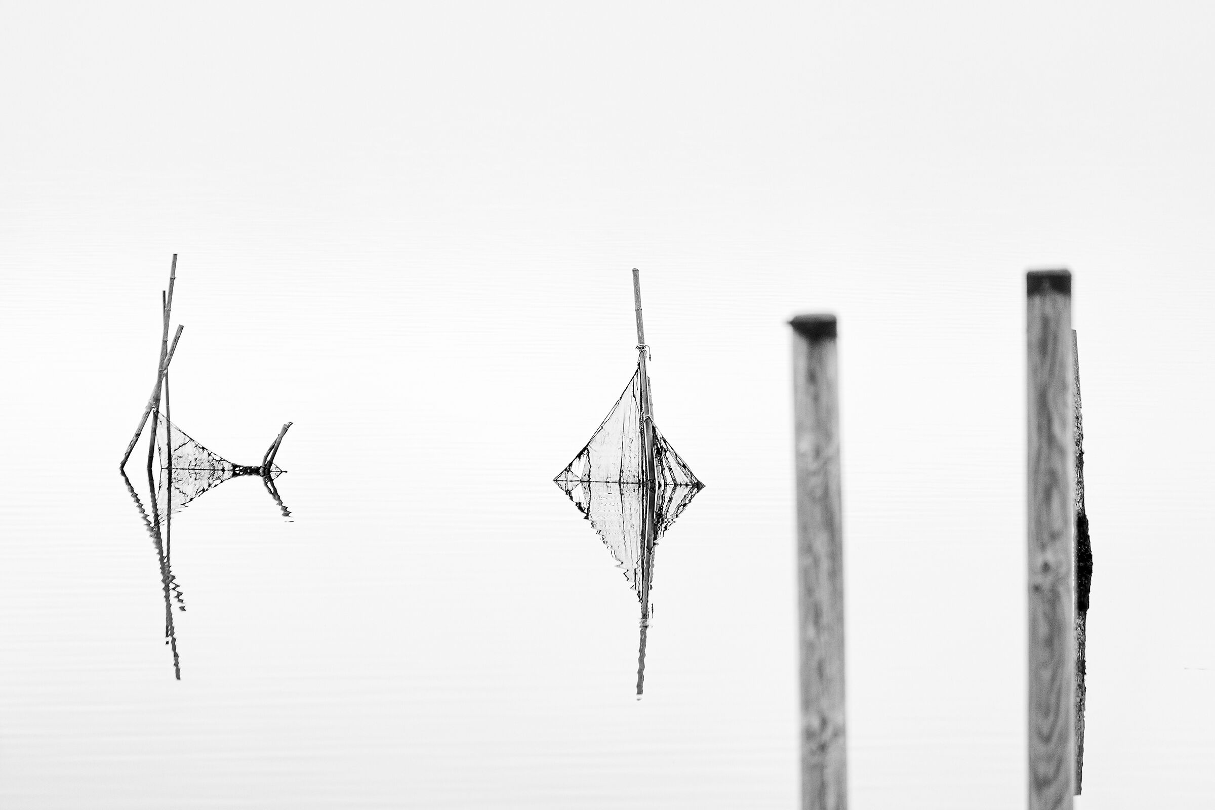 In the lagoon even the nets look like fish...