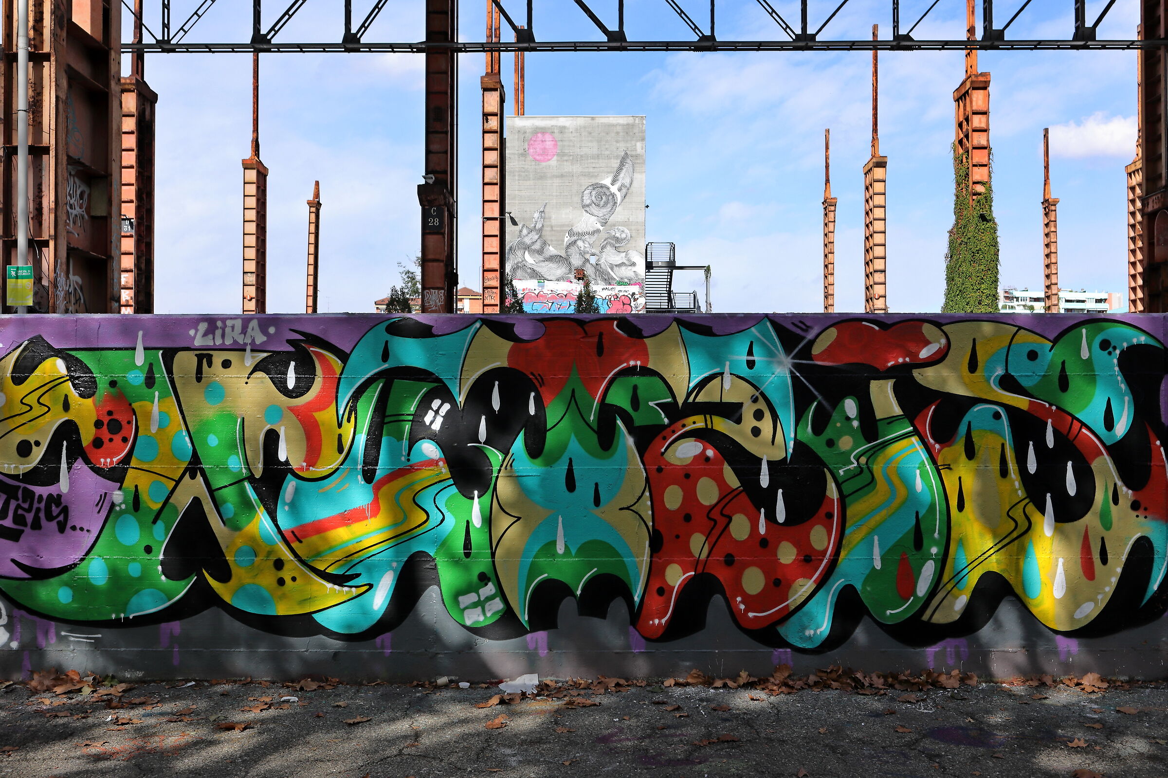 Untitled Photo