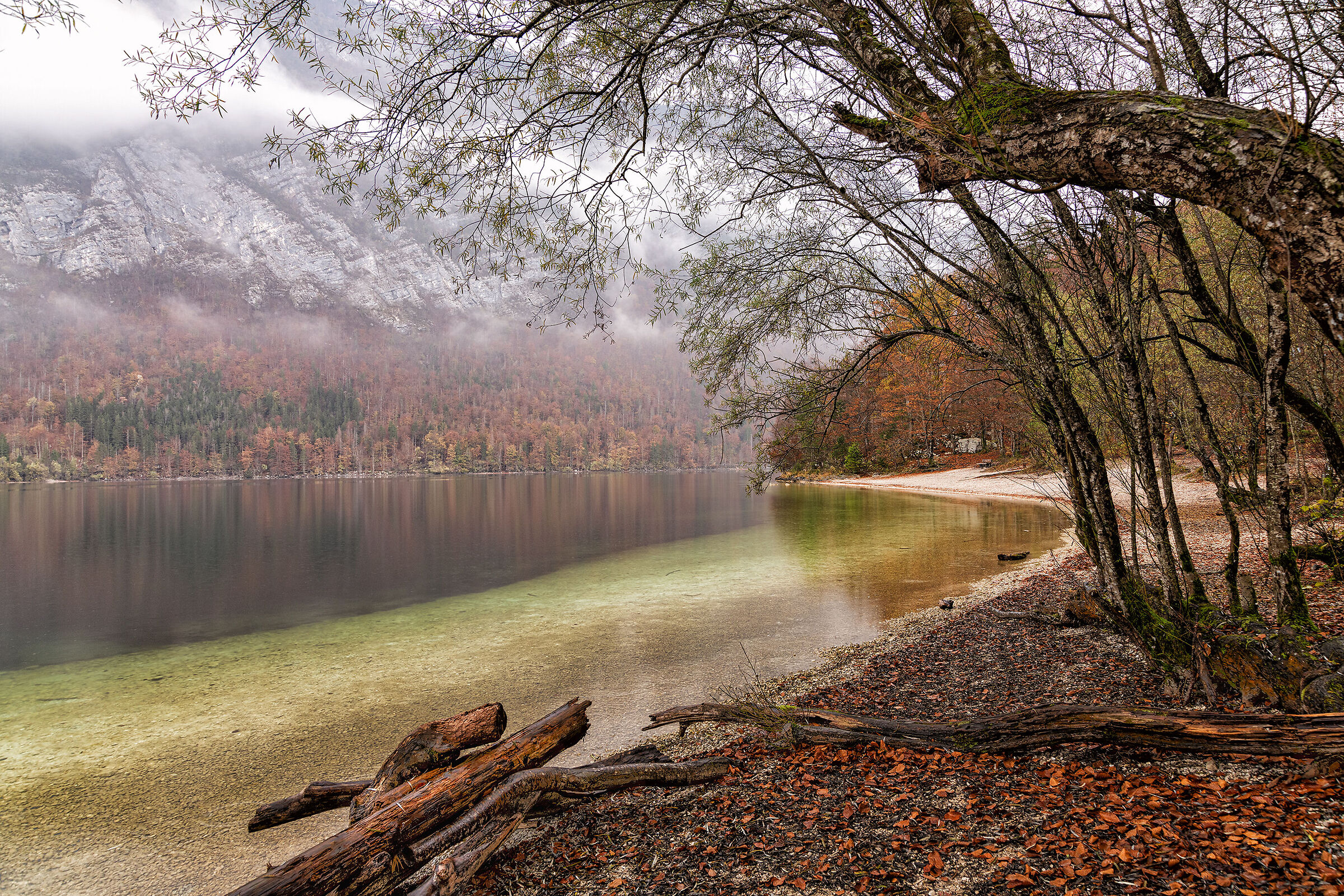 Lago Boihinj (Slovenia)