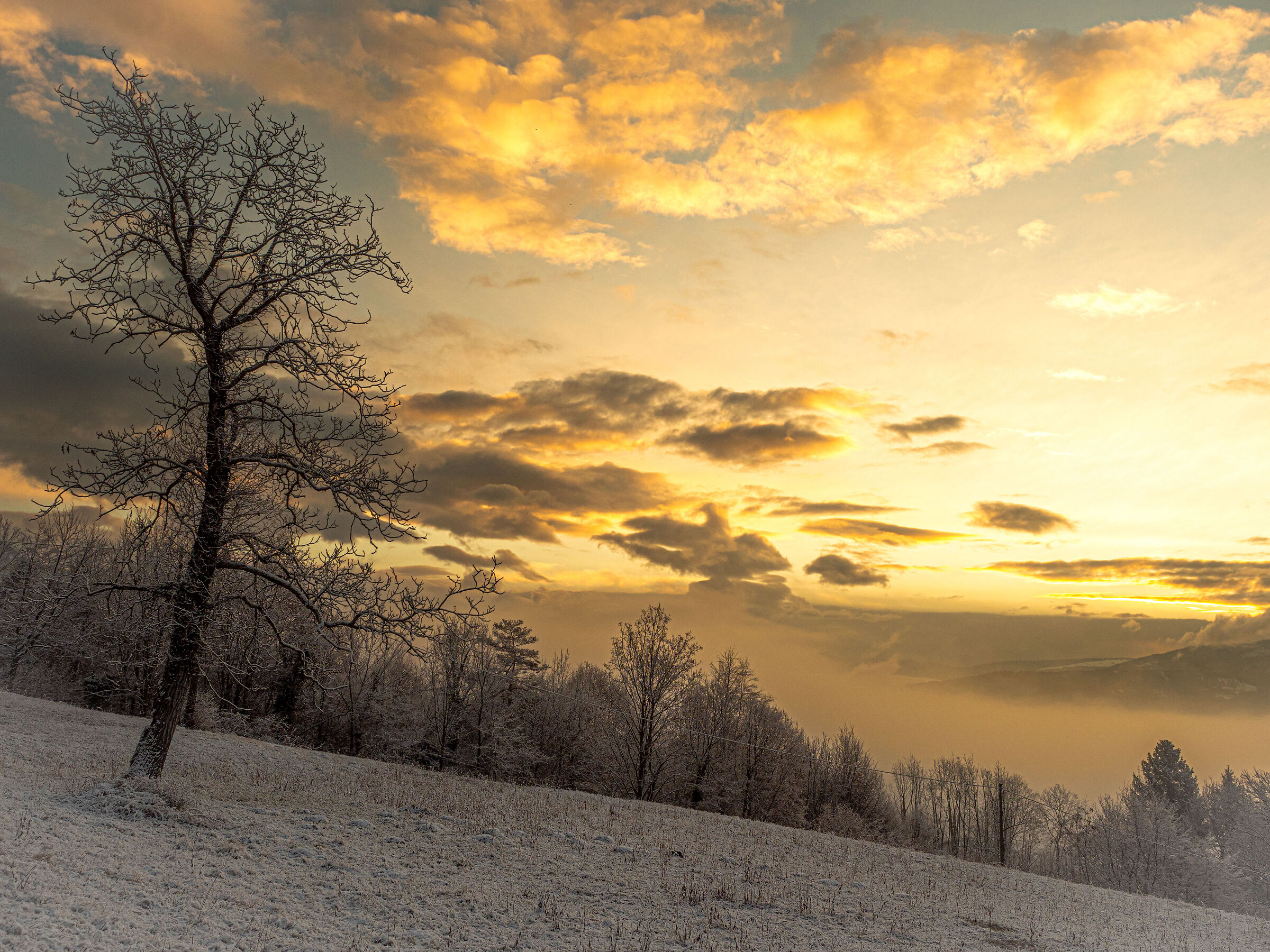 Winter sunrise
