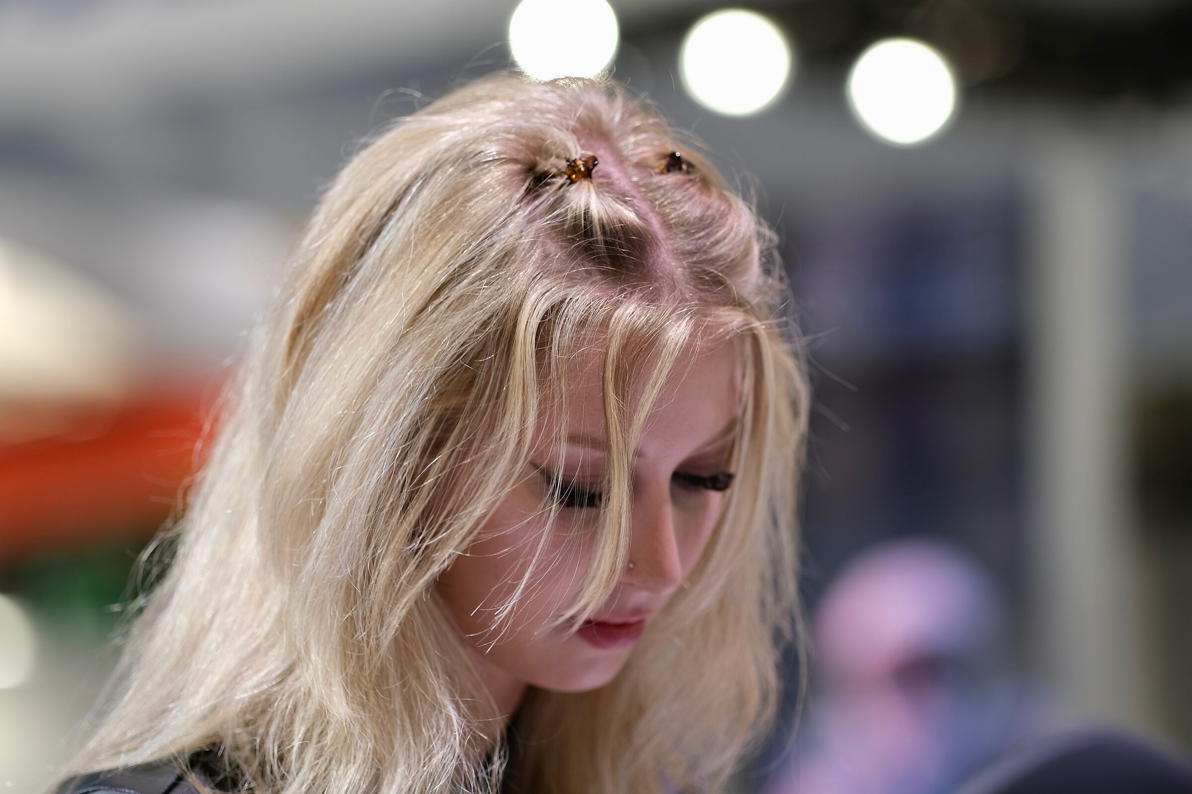 Eicma 2022 - Jessica