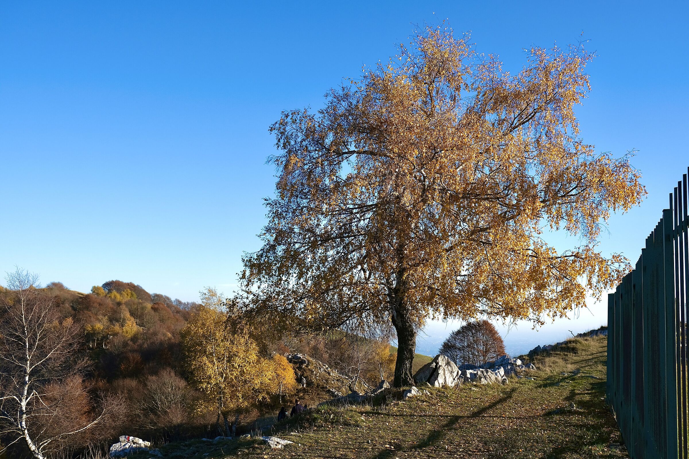 Mount Linzone