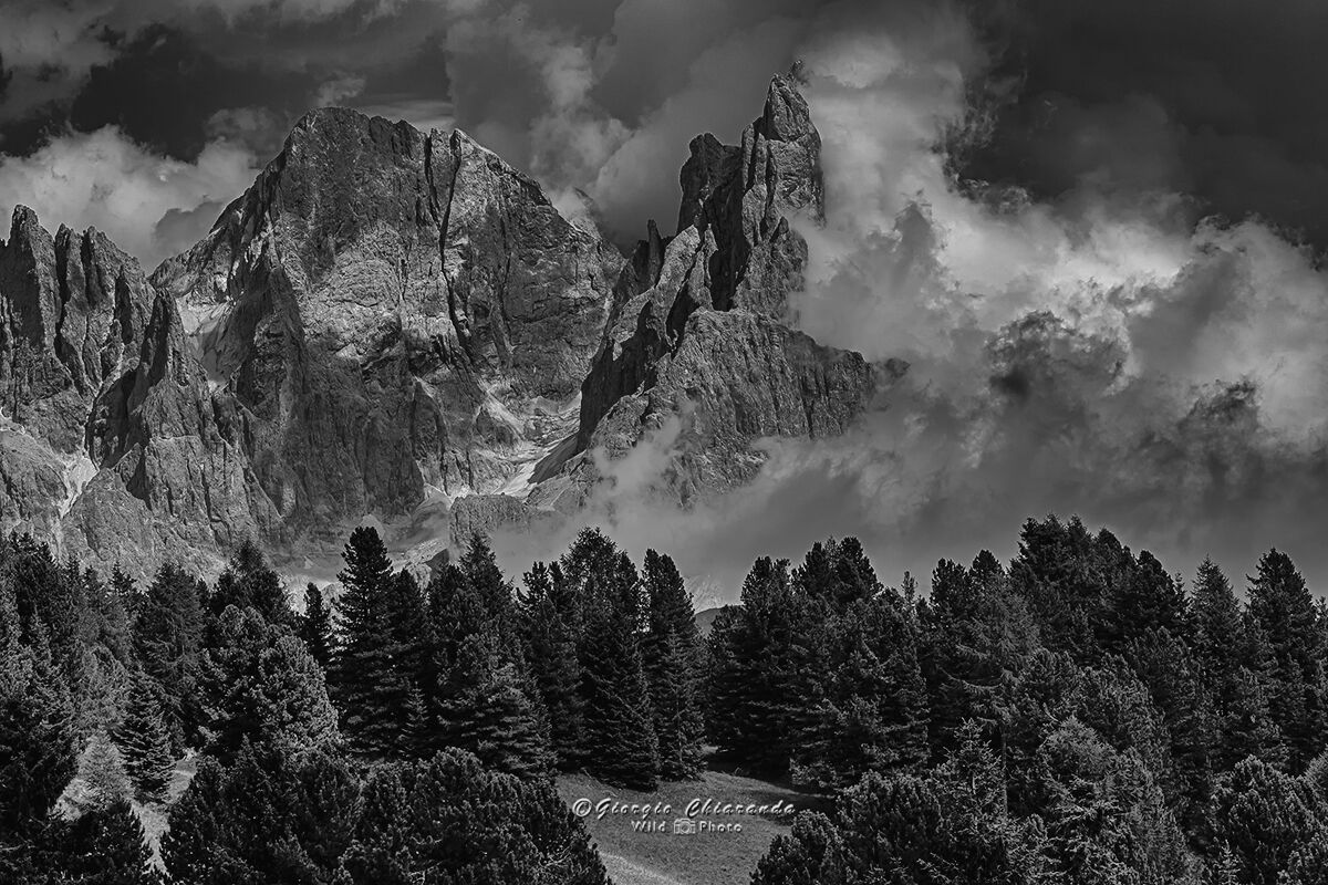 Il Cimon della Pala (Gruppo pale di S.Martino)