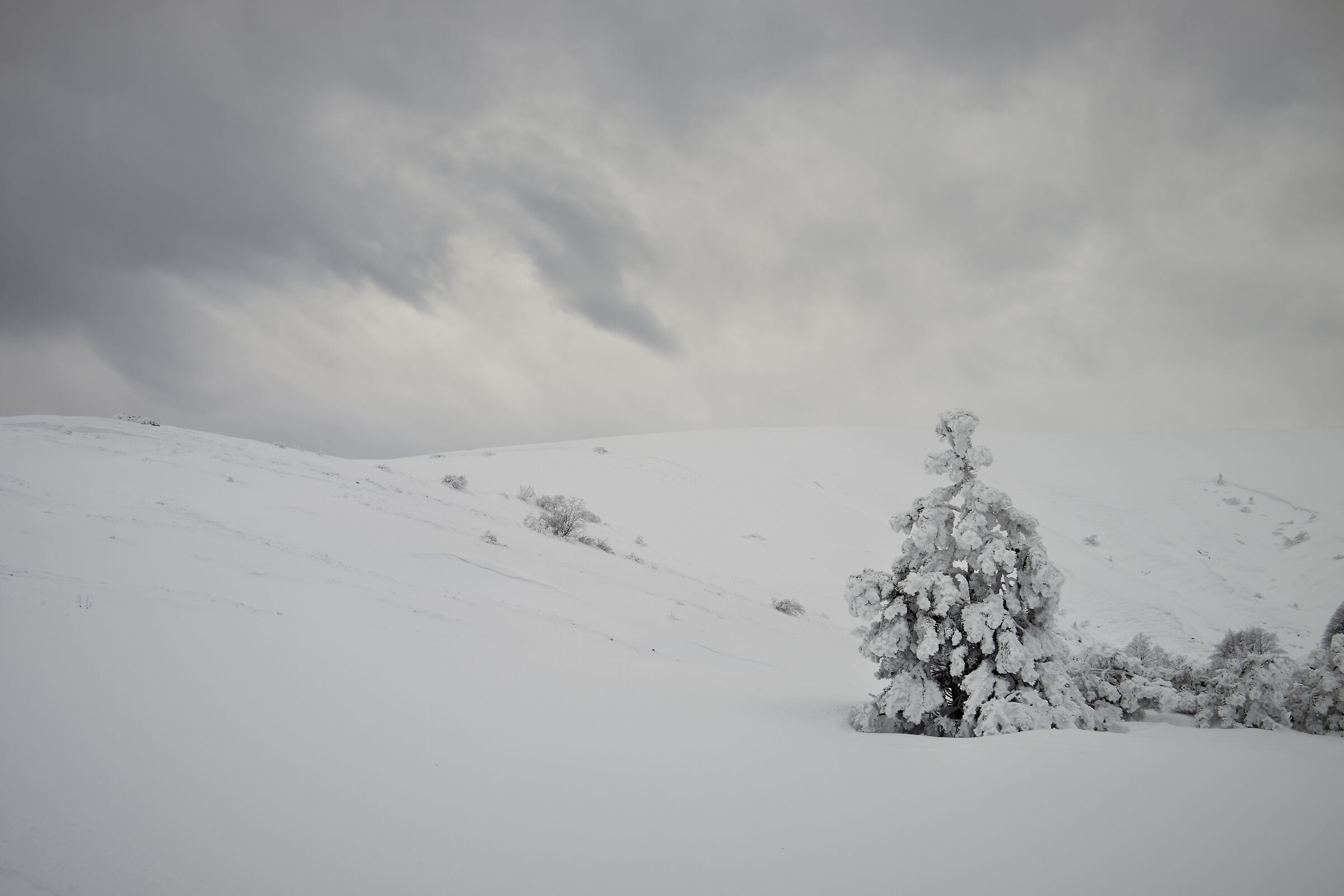 Finalmente l'inverno