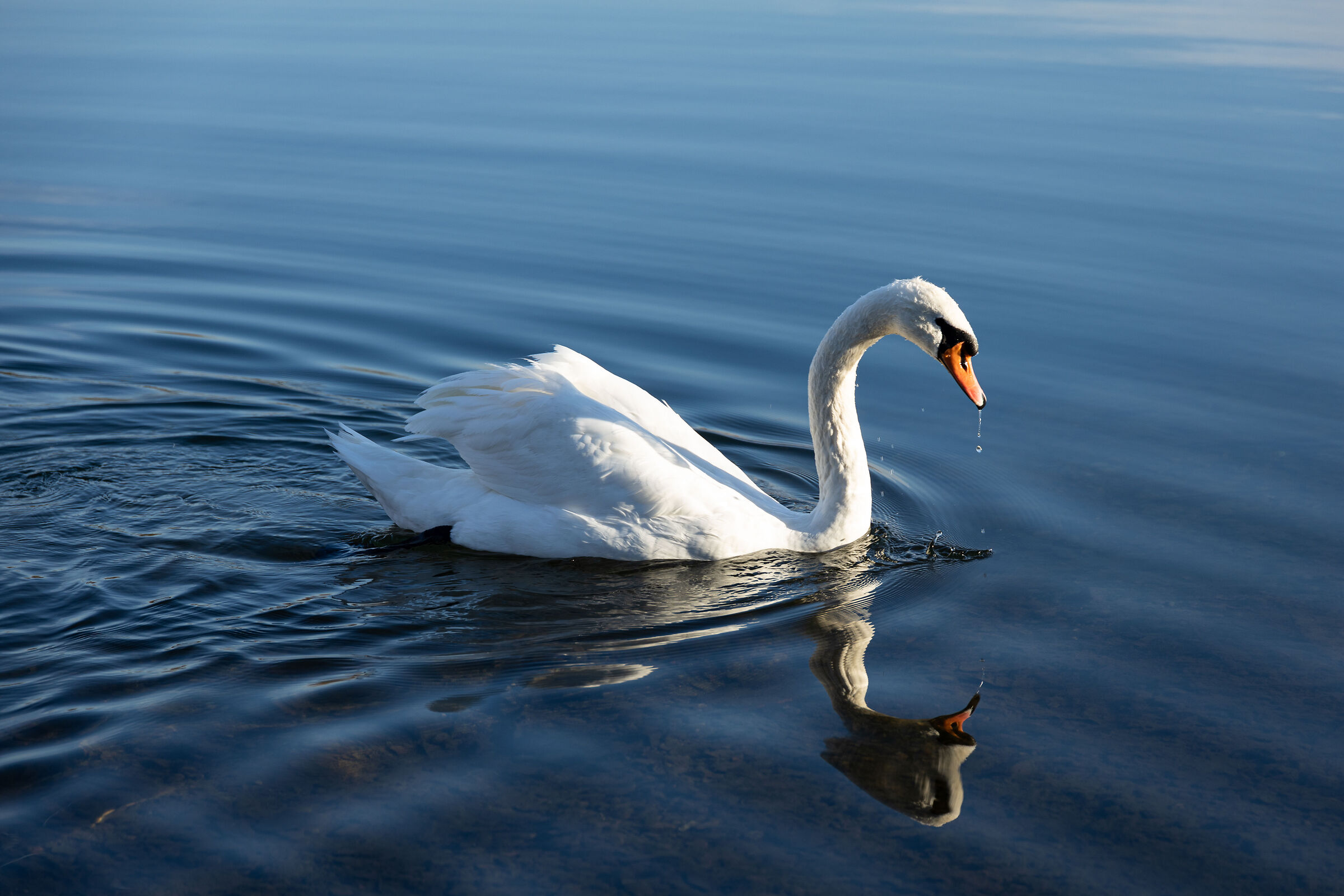 Untitled Photo