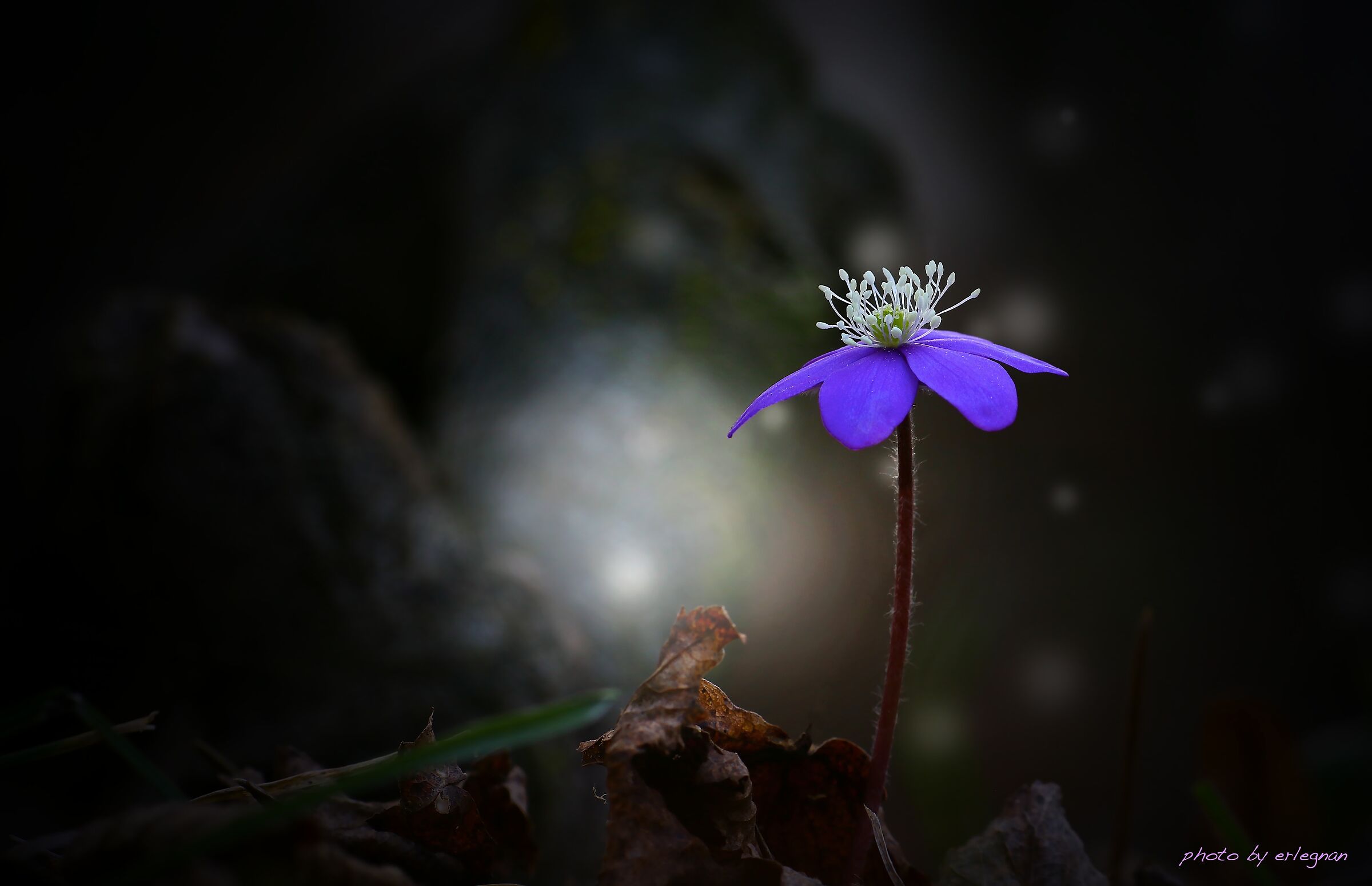 Waiting for the summer