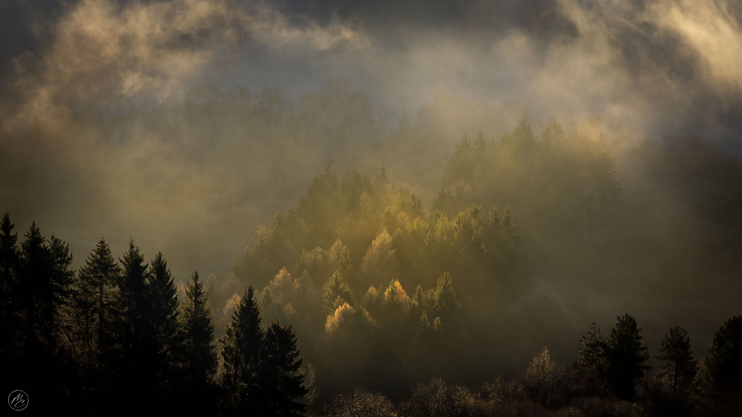 Rays of light