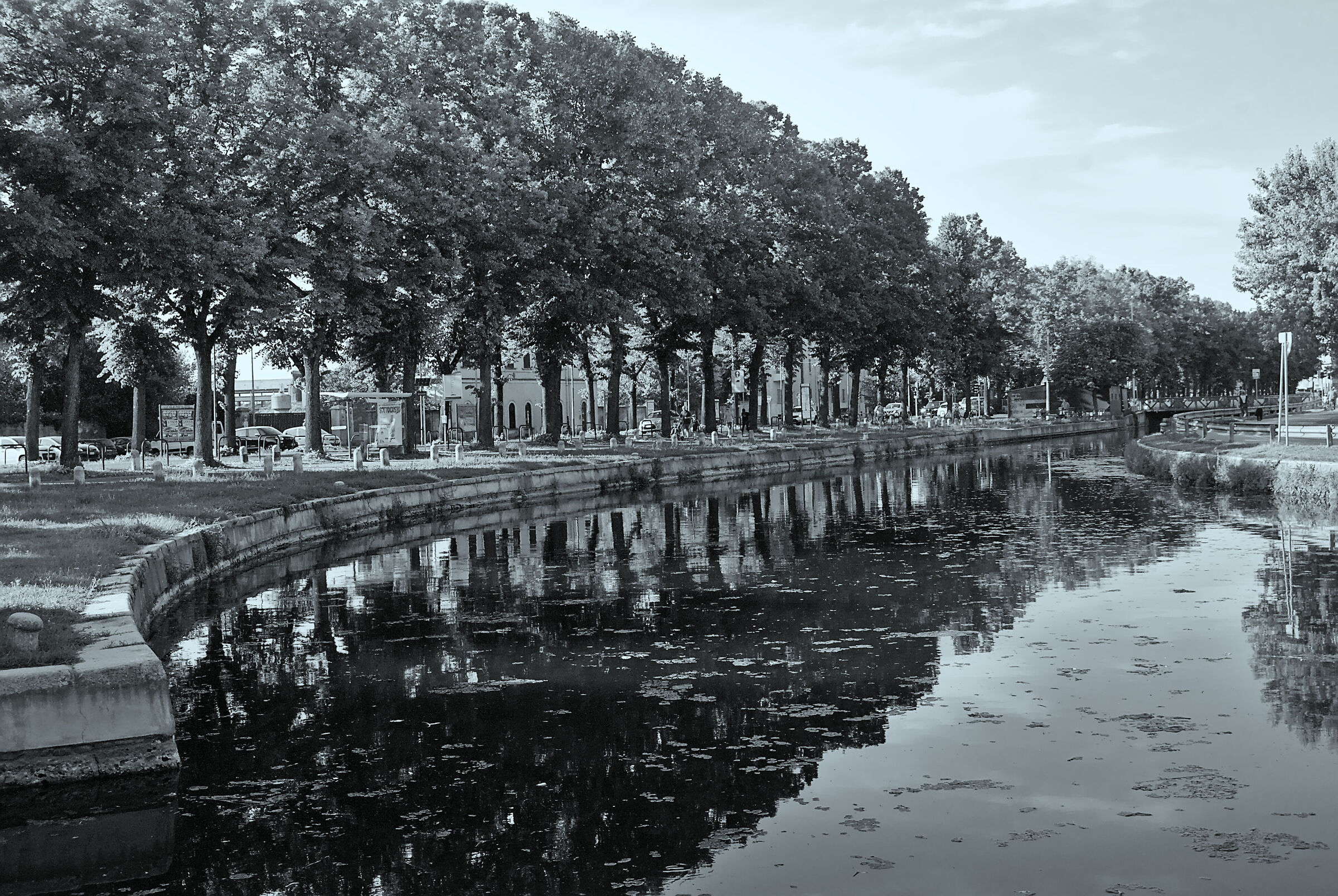 Untitled Photo