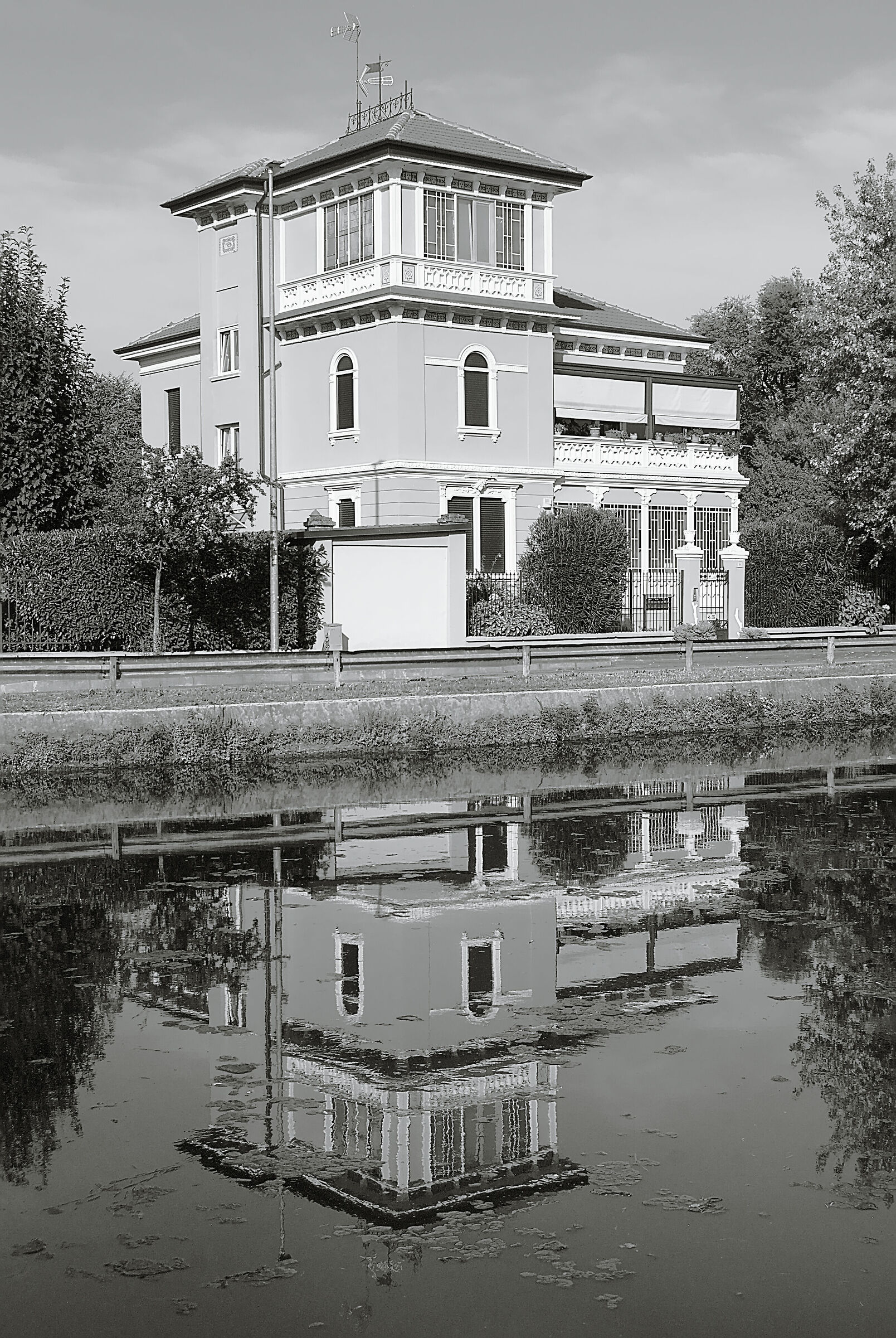 Untitled Photo