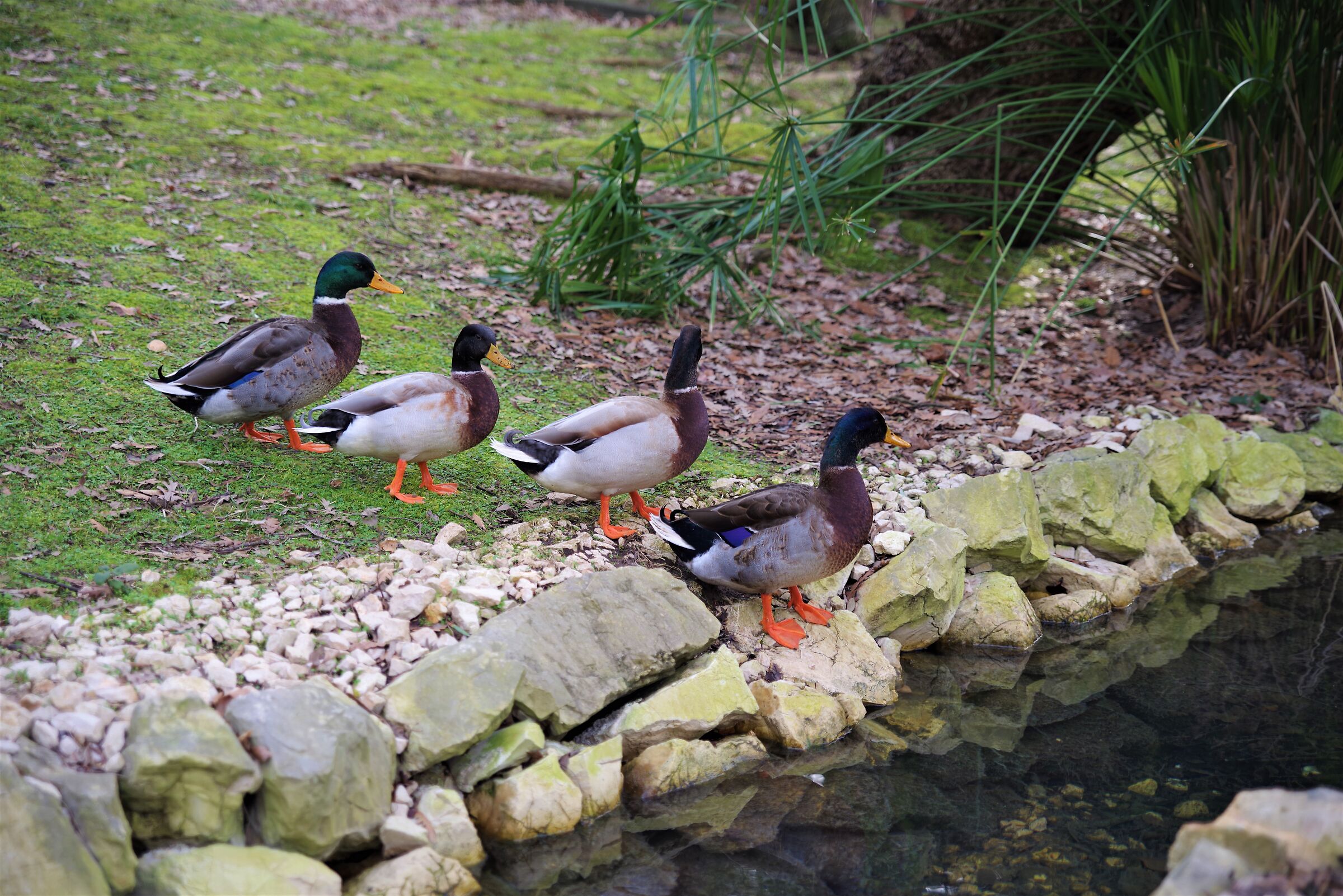 siamo una squadra efficiente !!!!