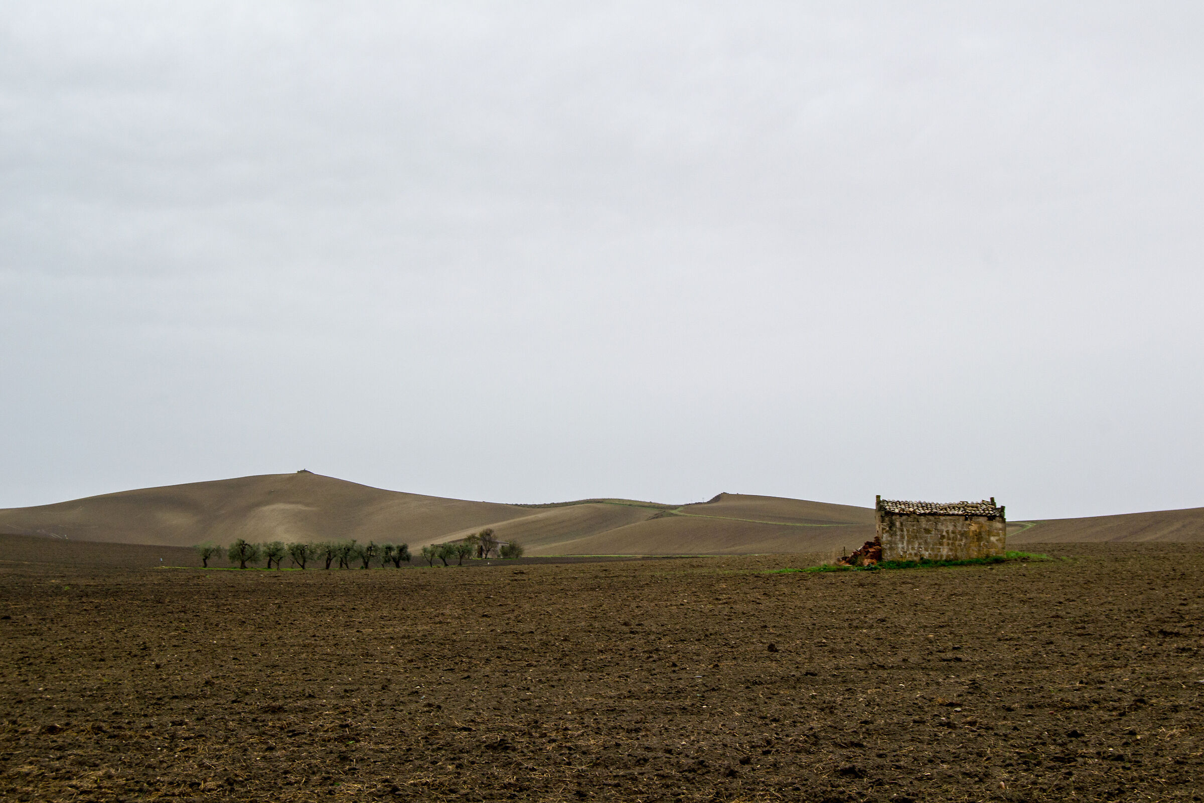 Deserto