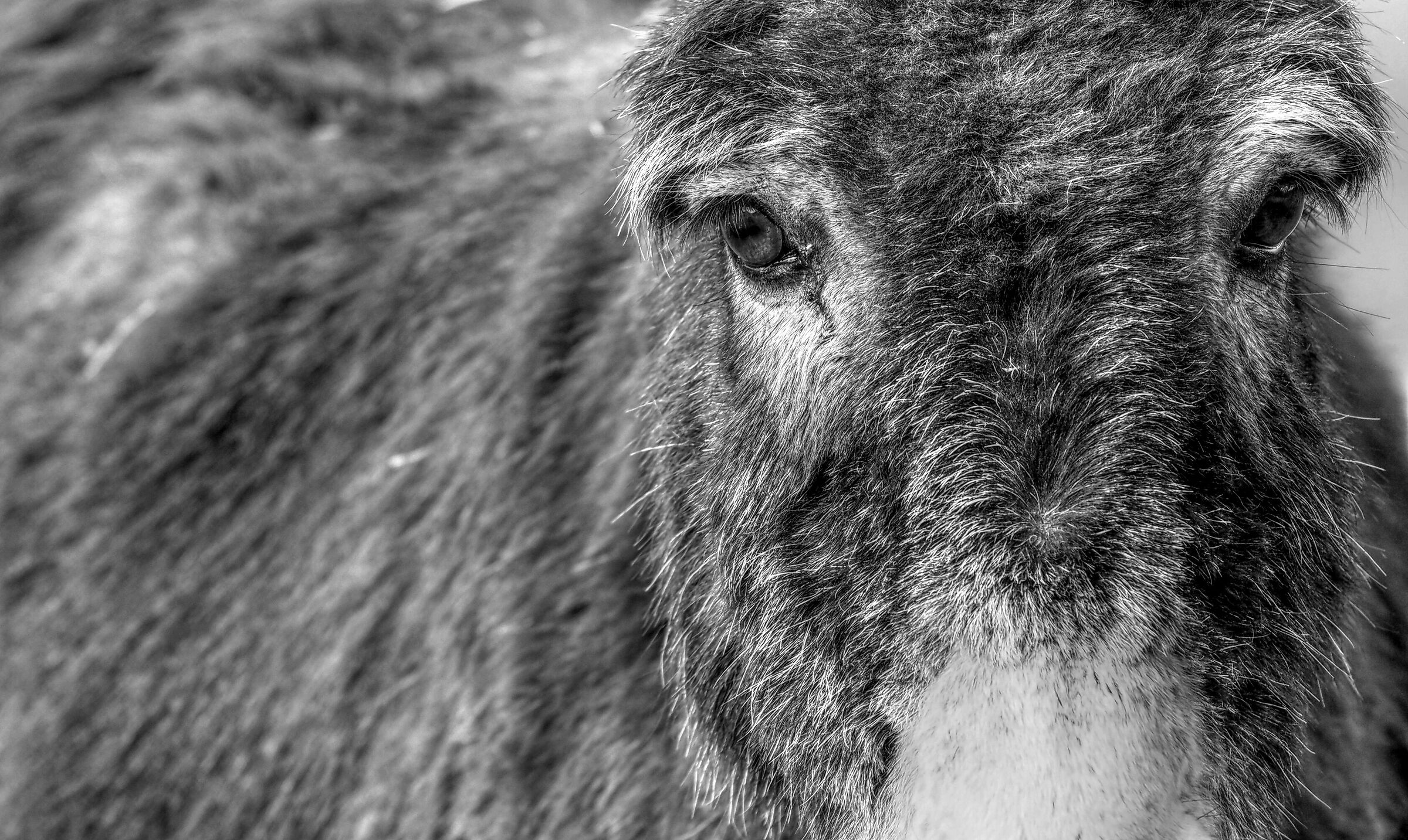 Every eye has its own gaze