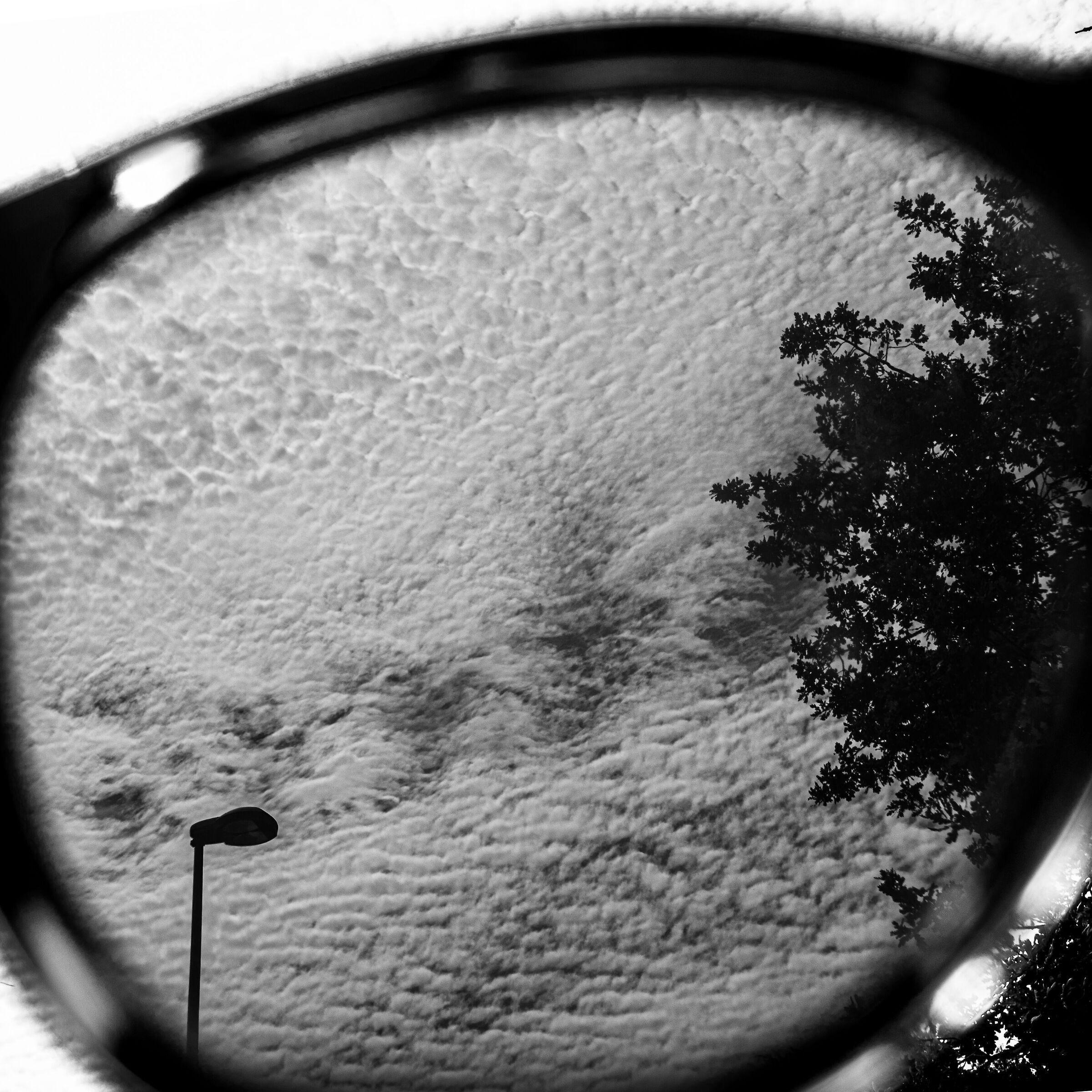 Alternative polarizer