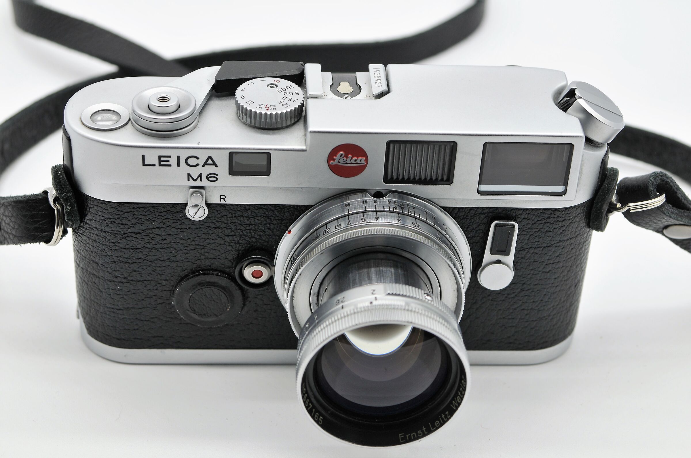 "La regina" scatto prova Nikon d300