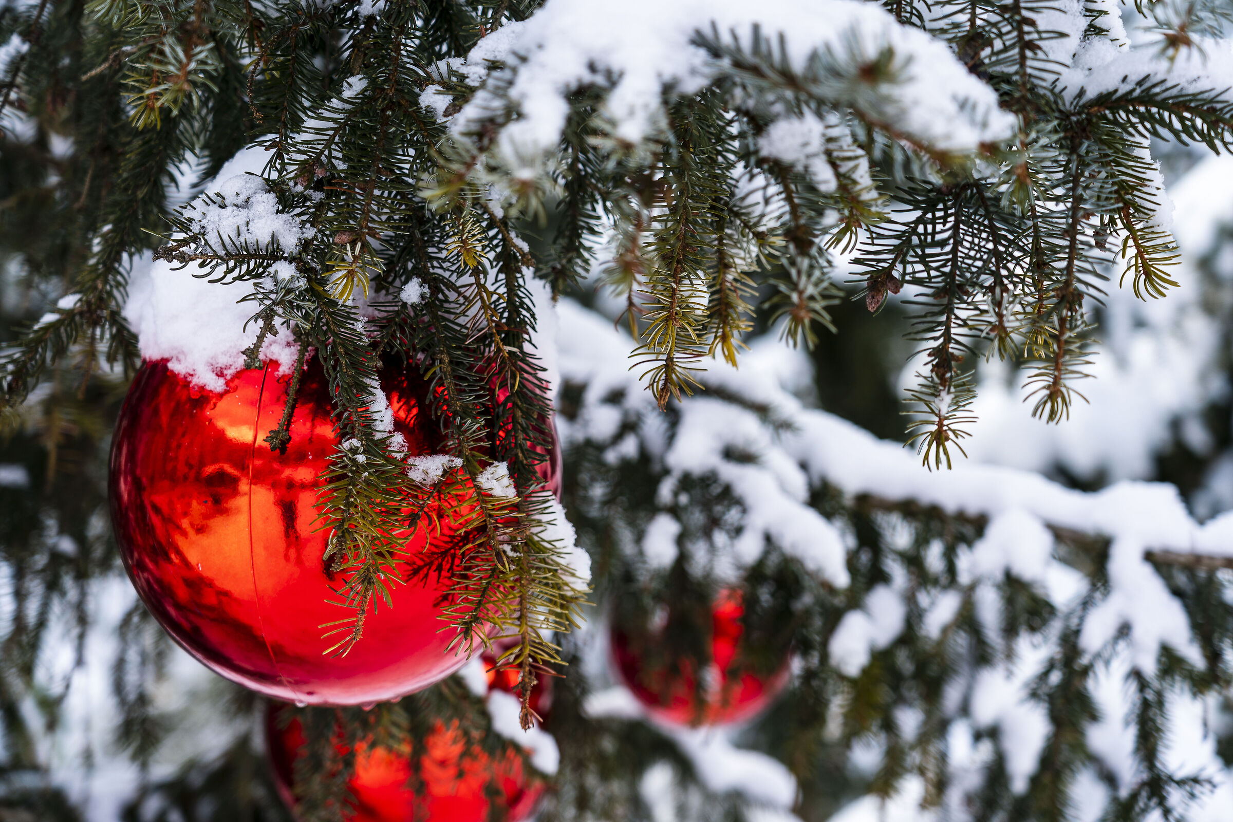 Christmas in Ortisei