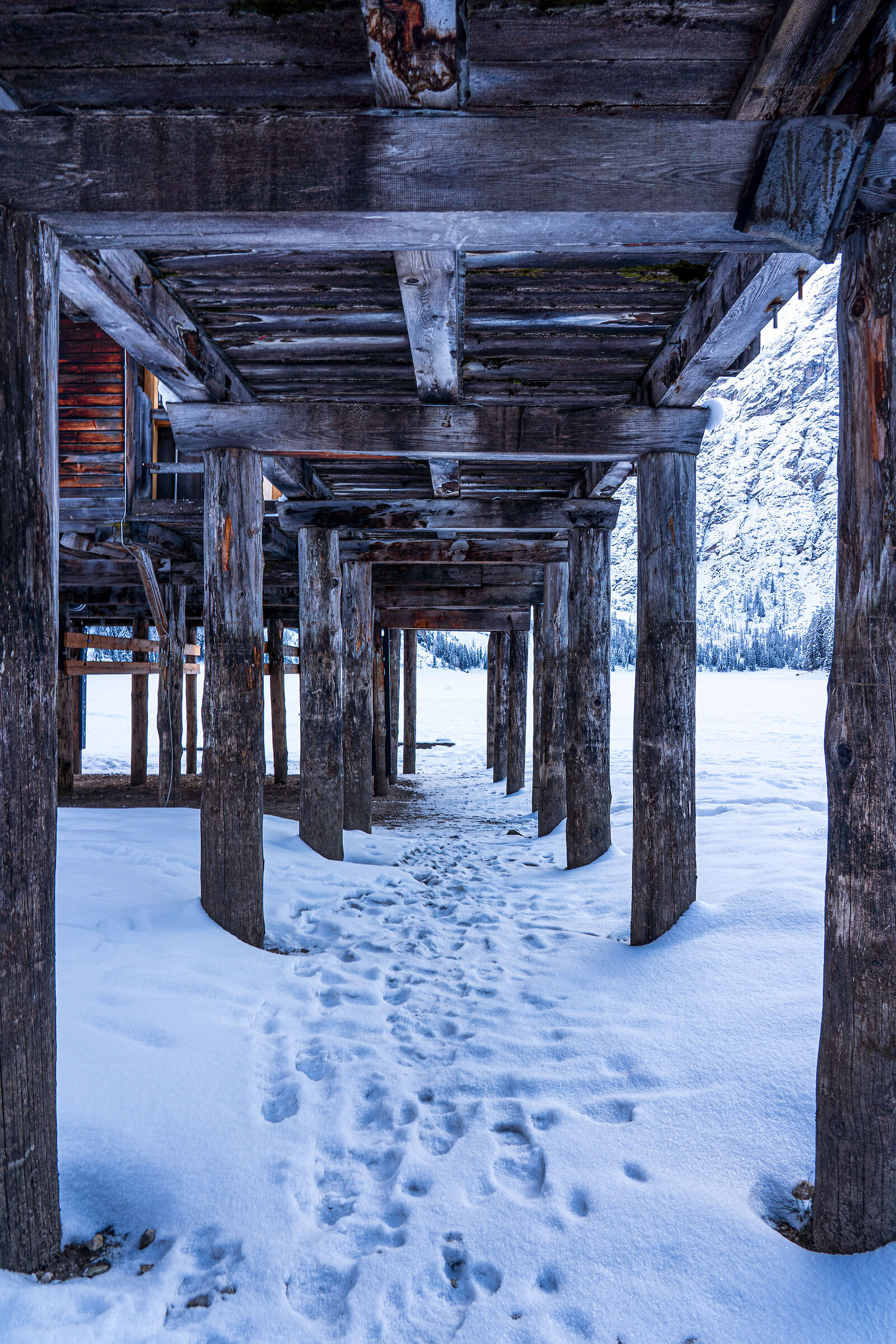 Under the stilt house - Braies