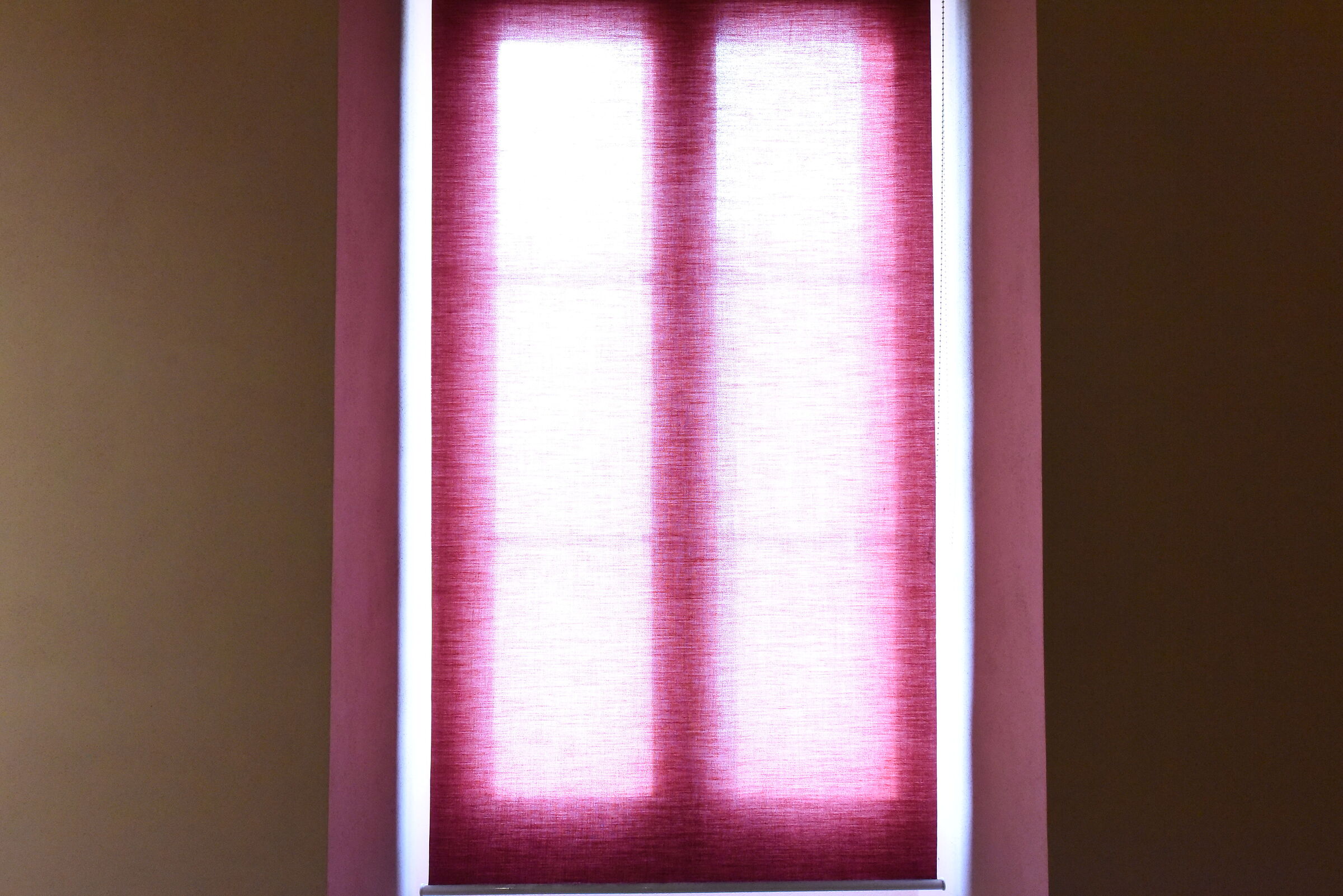 "ISO 12. 8 0 0 ", F. 8, 1/ 250- Nikon 14-24 F. 2.8...