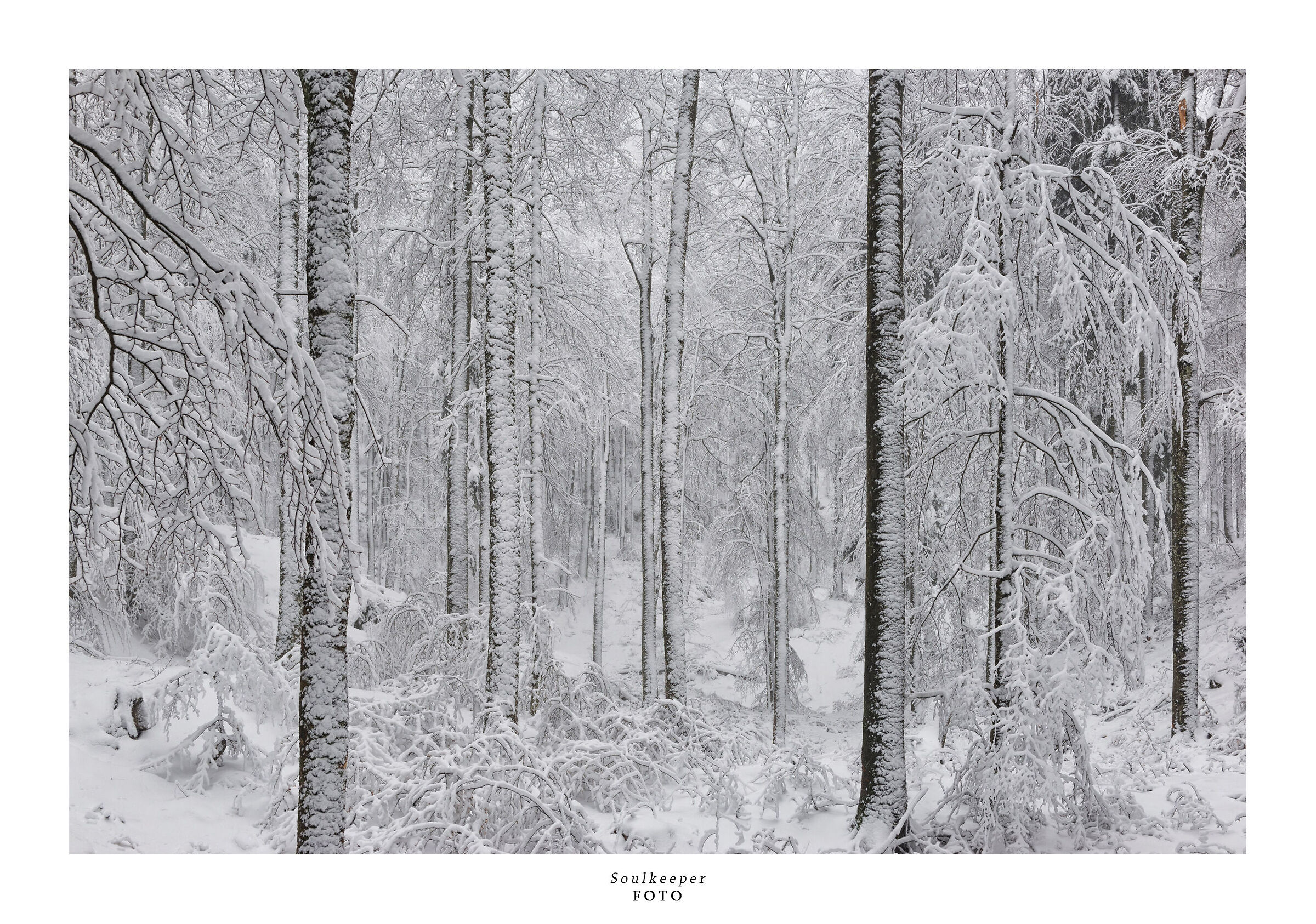 Calm chaos, very calm...