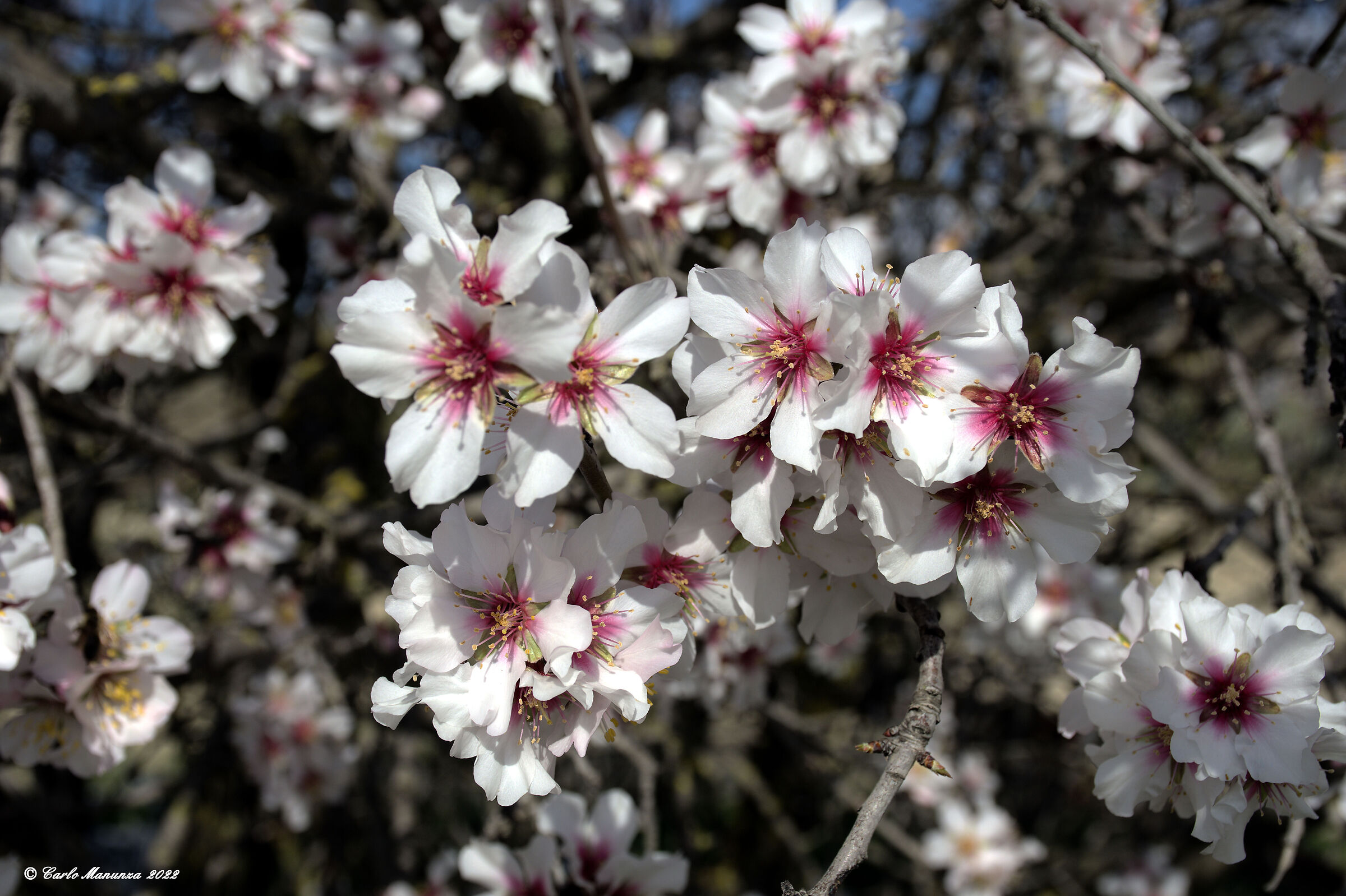 Untitled Photo