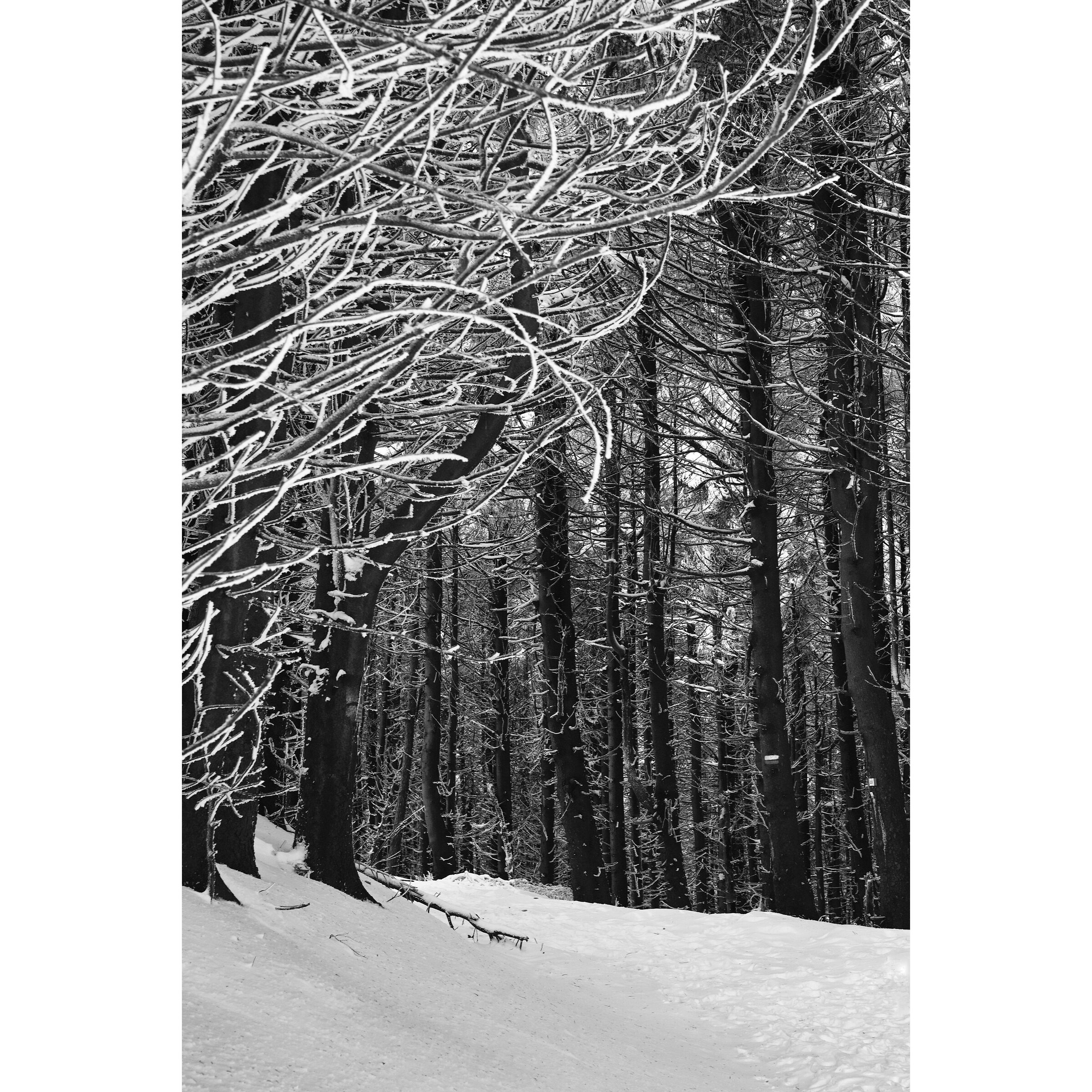 Untitled Photo