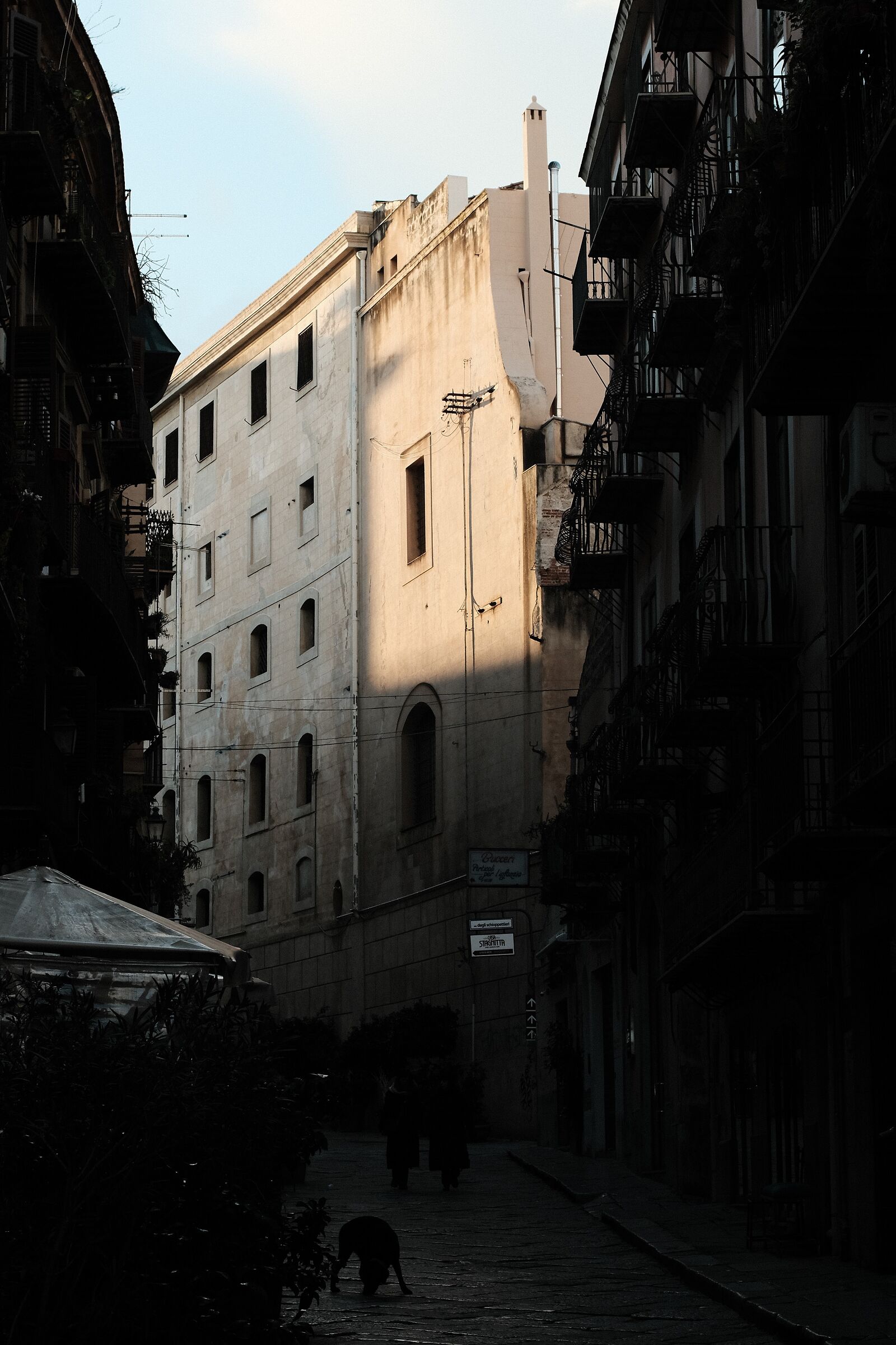 Light from the judges