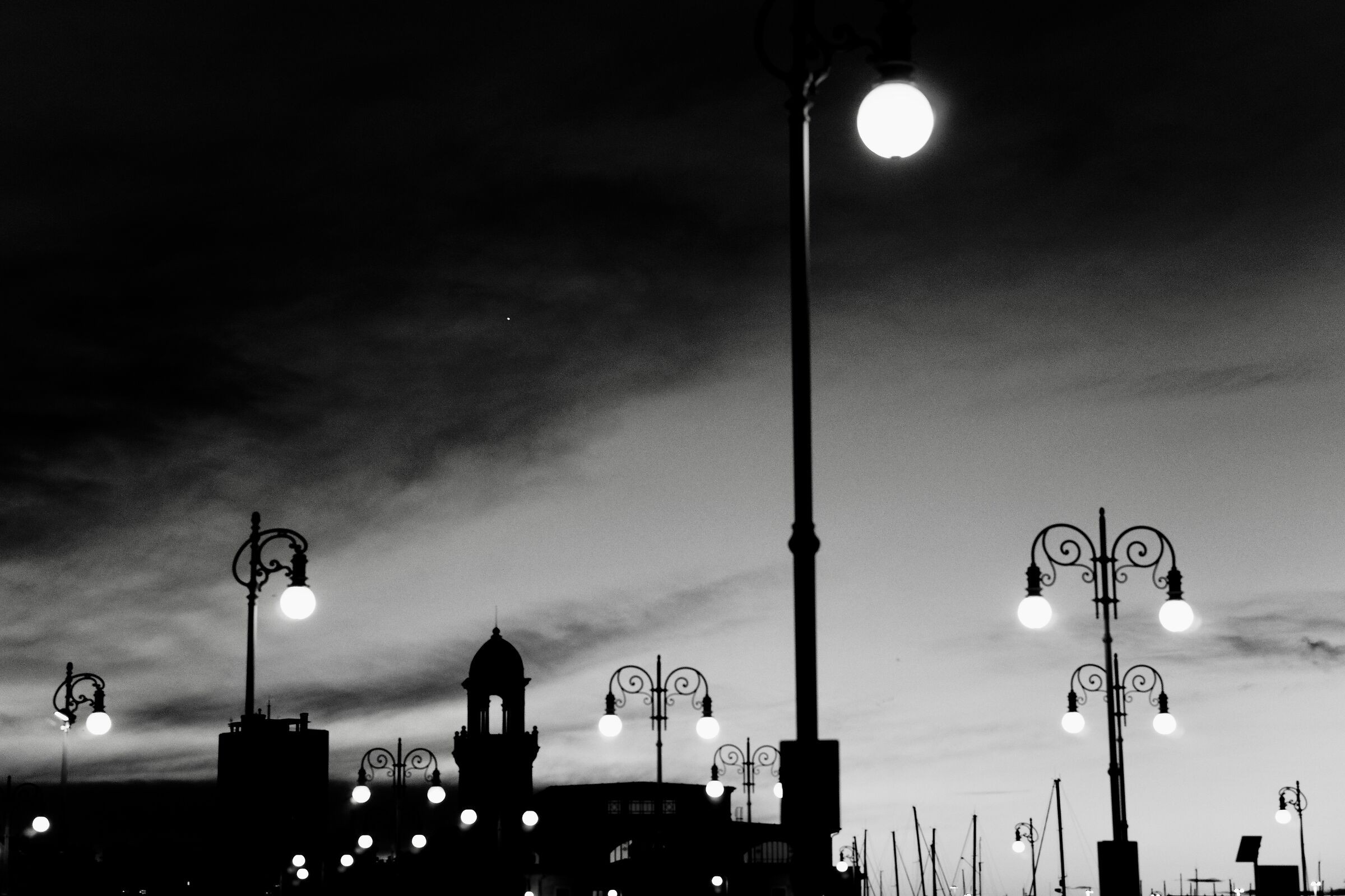 ... sulle rive di Trieste....