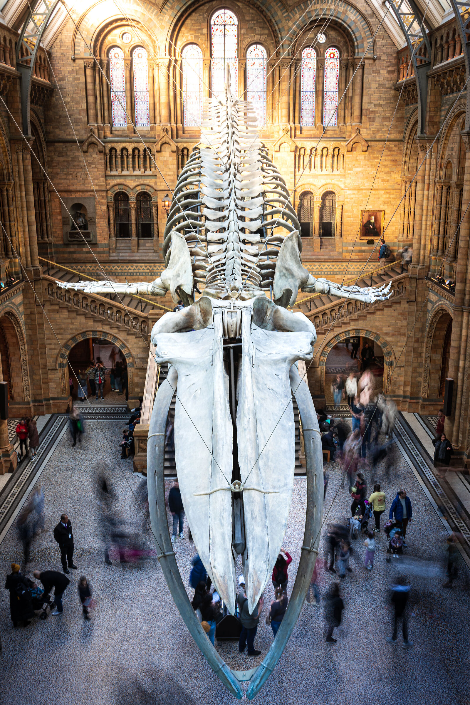 Natural history museum