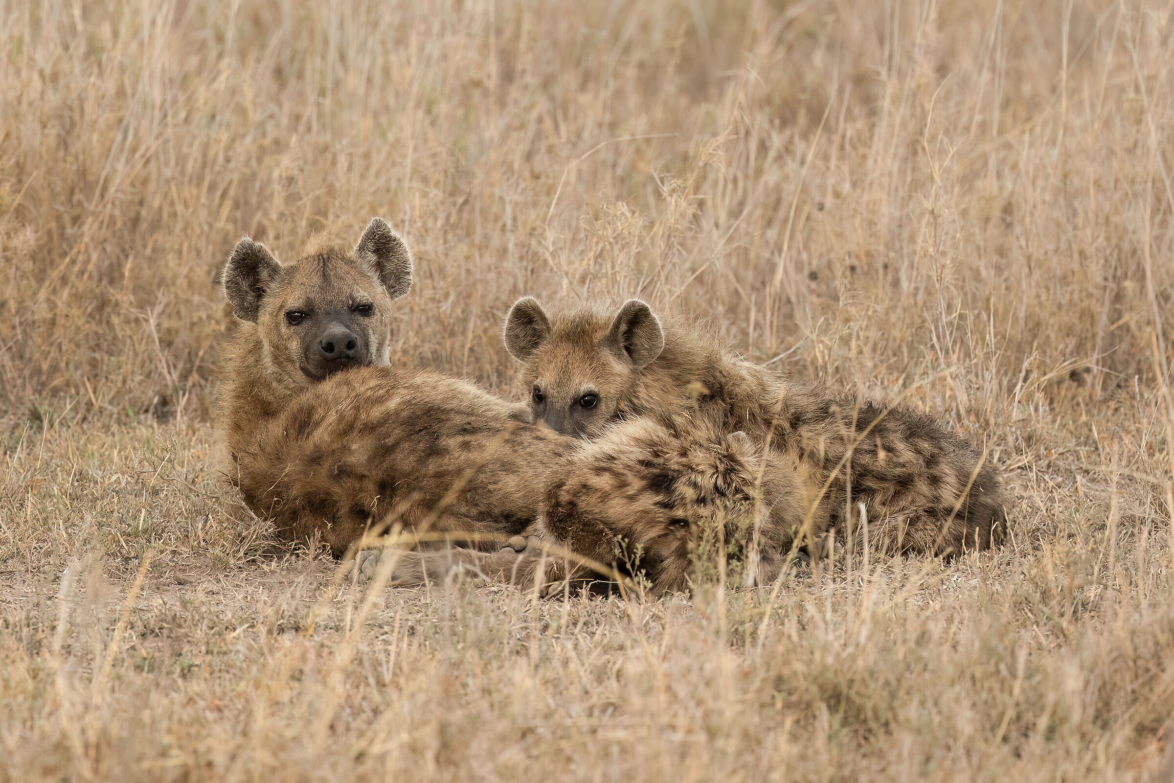 Differently beautiful