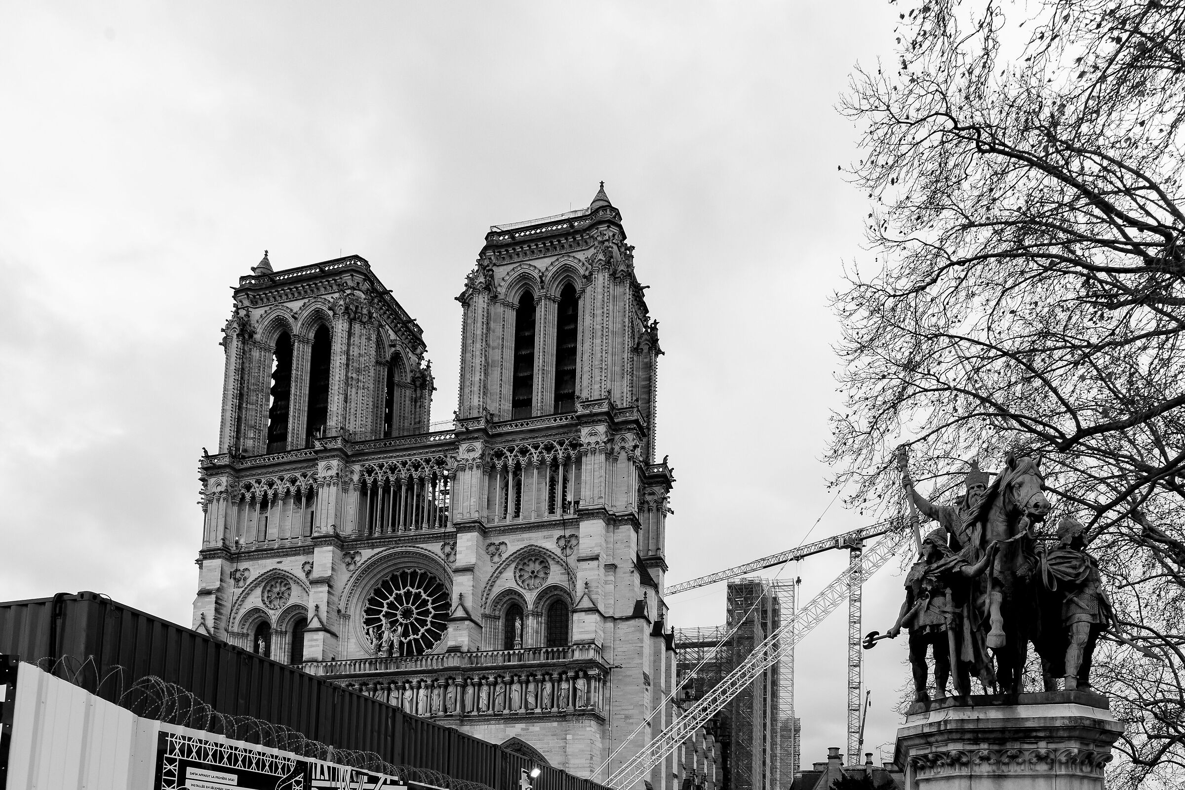 notre dame