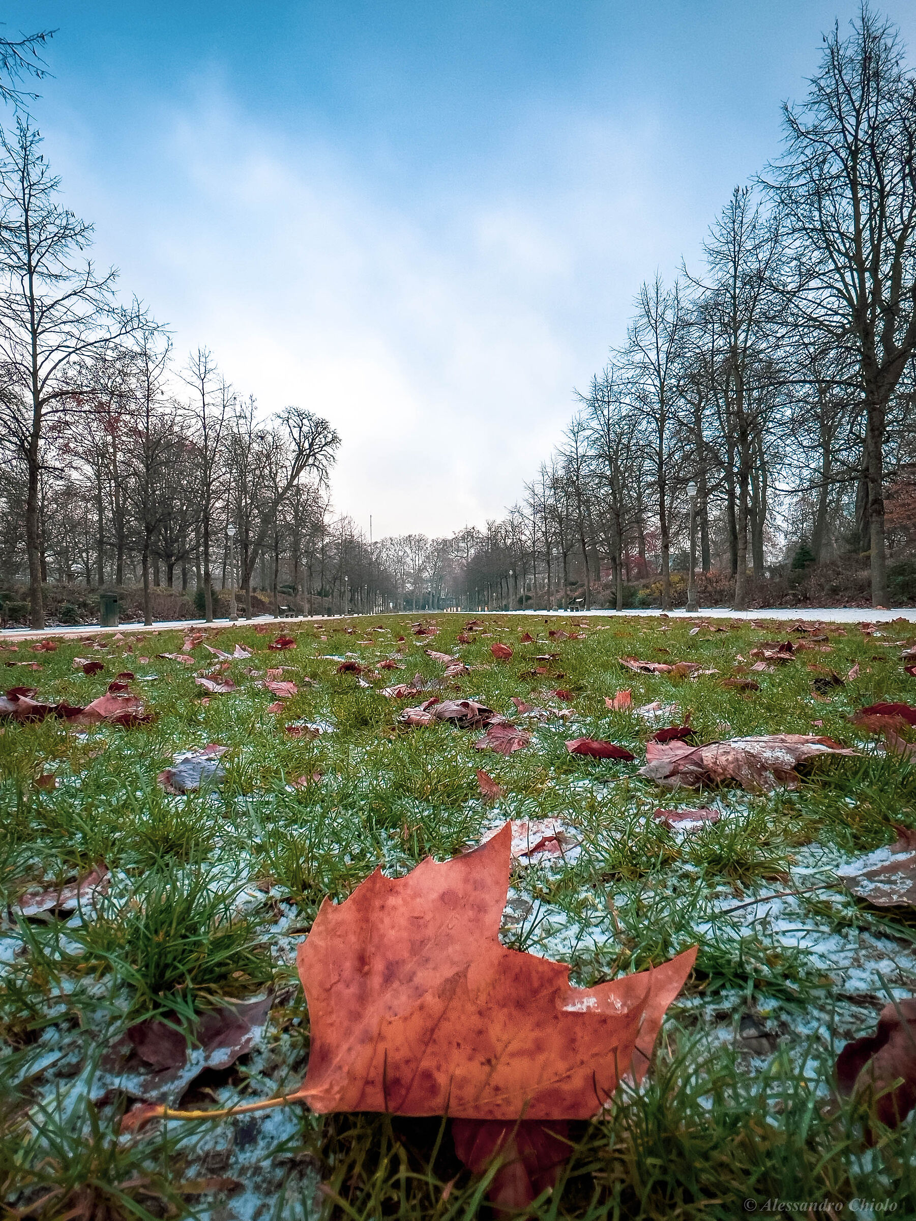 Colori d'inverno