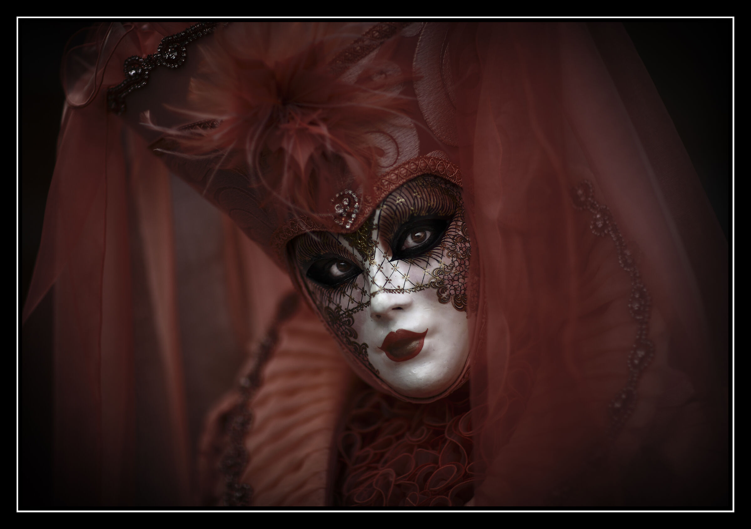 Untitled Photo